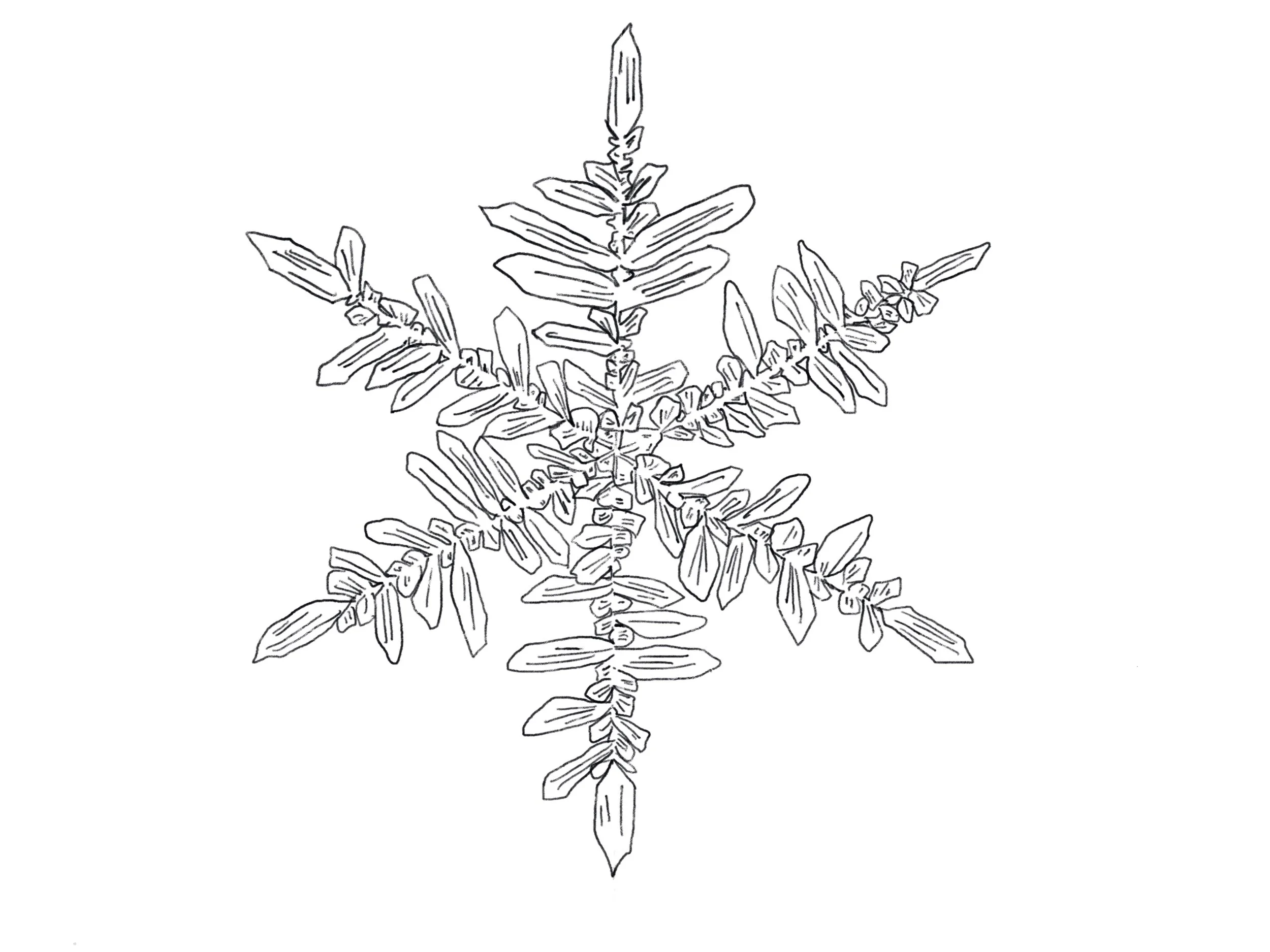 Snowflake