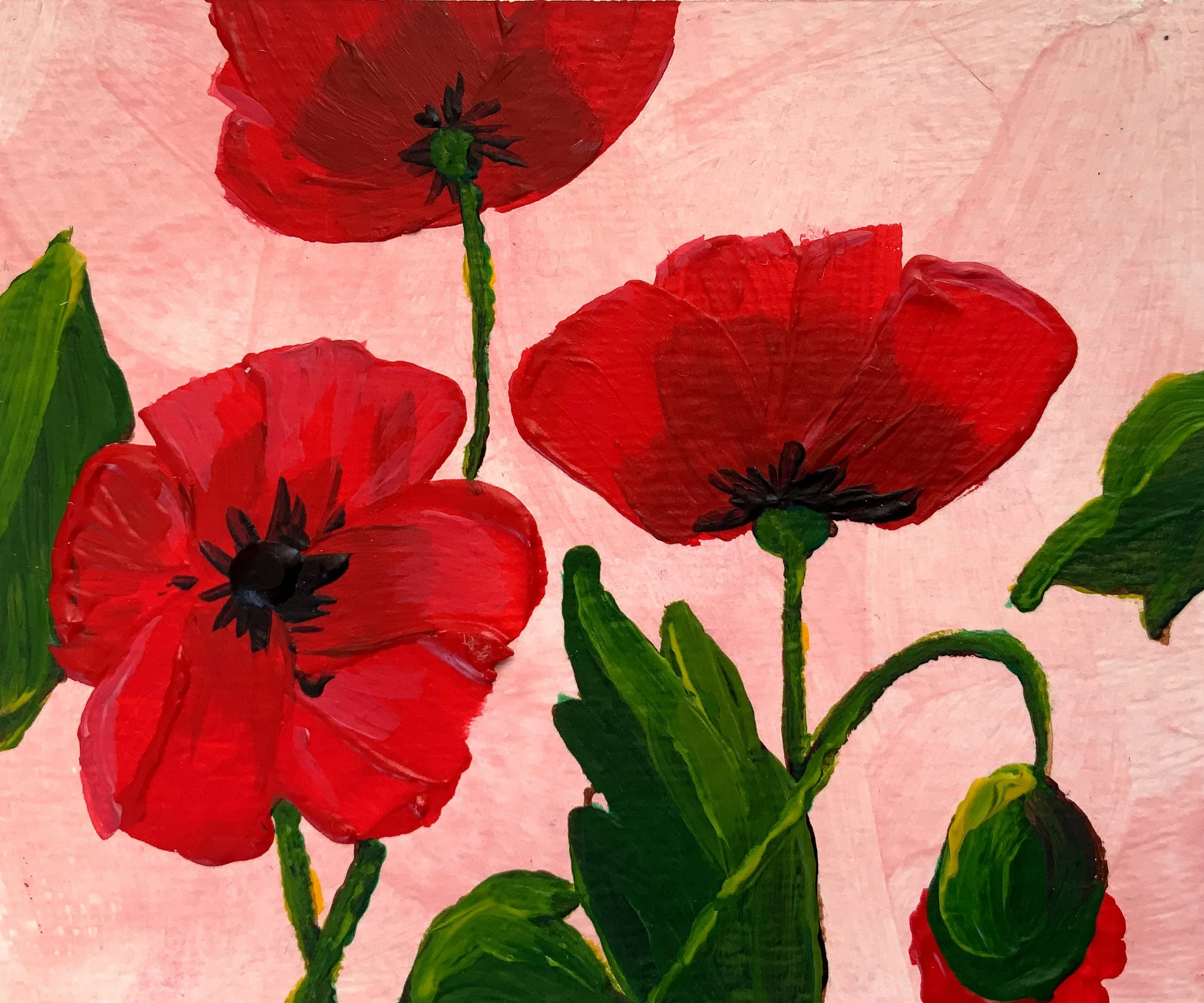 Poppies; acrylic
