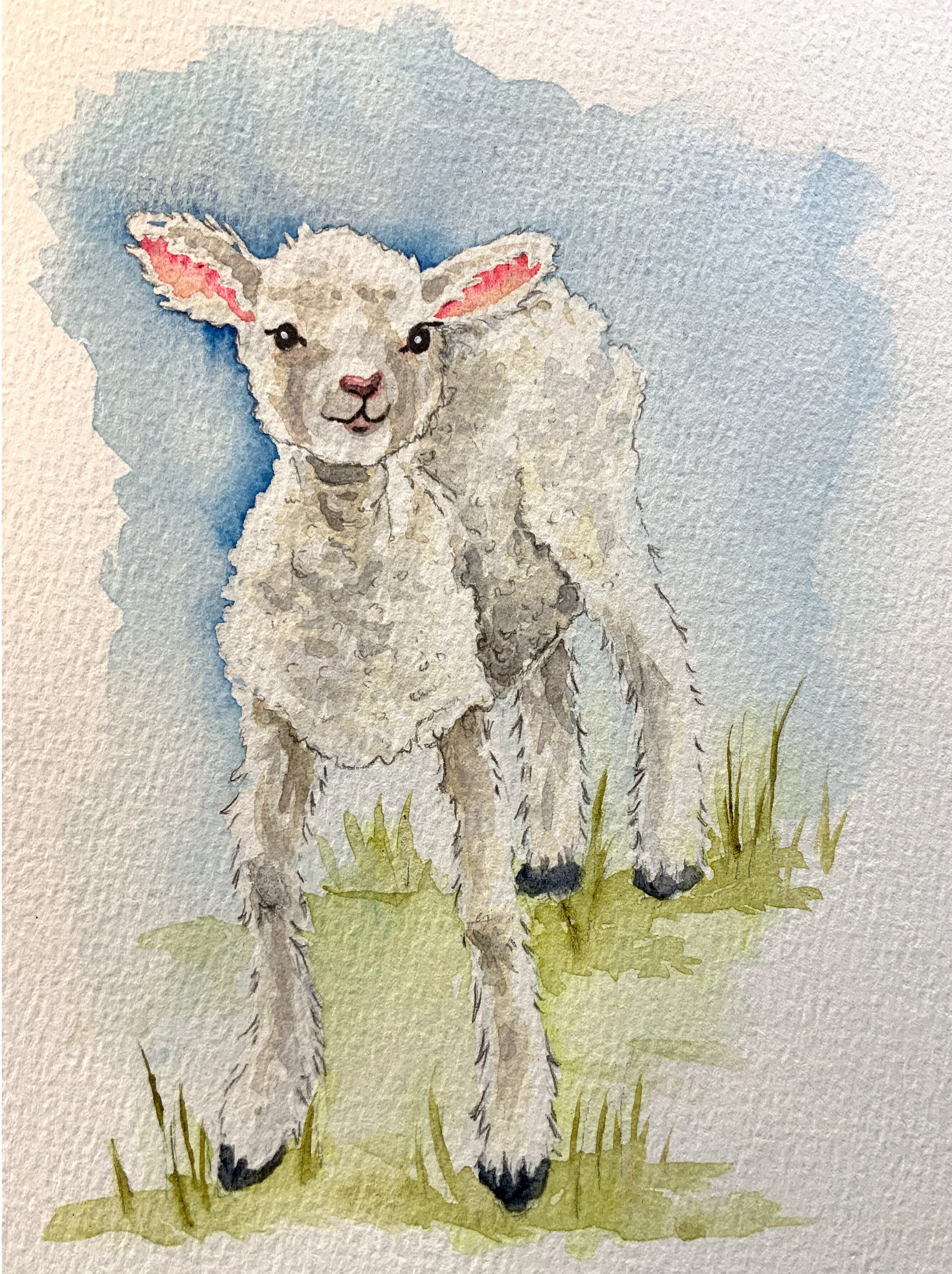 Spring Lamb; watercolor