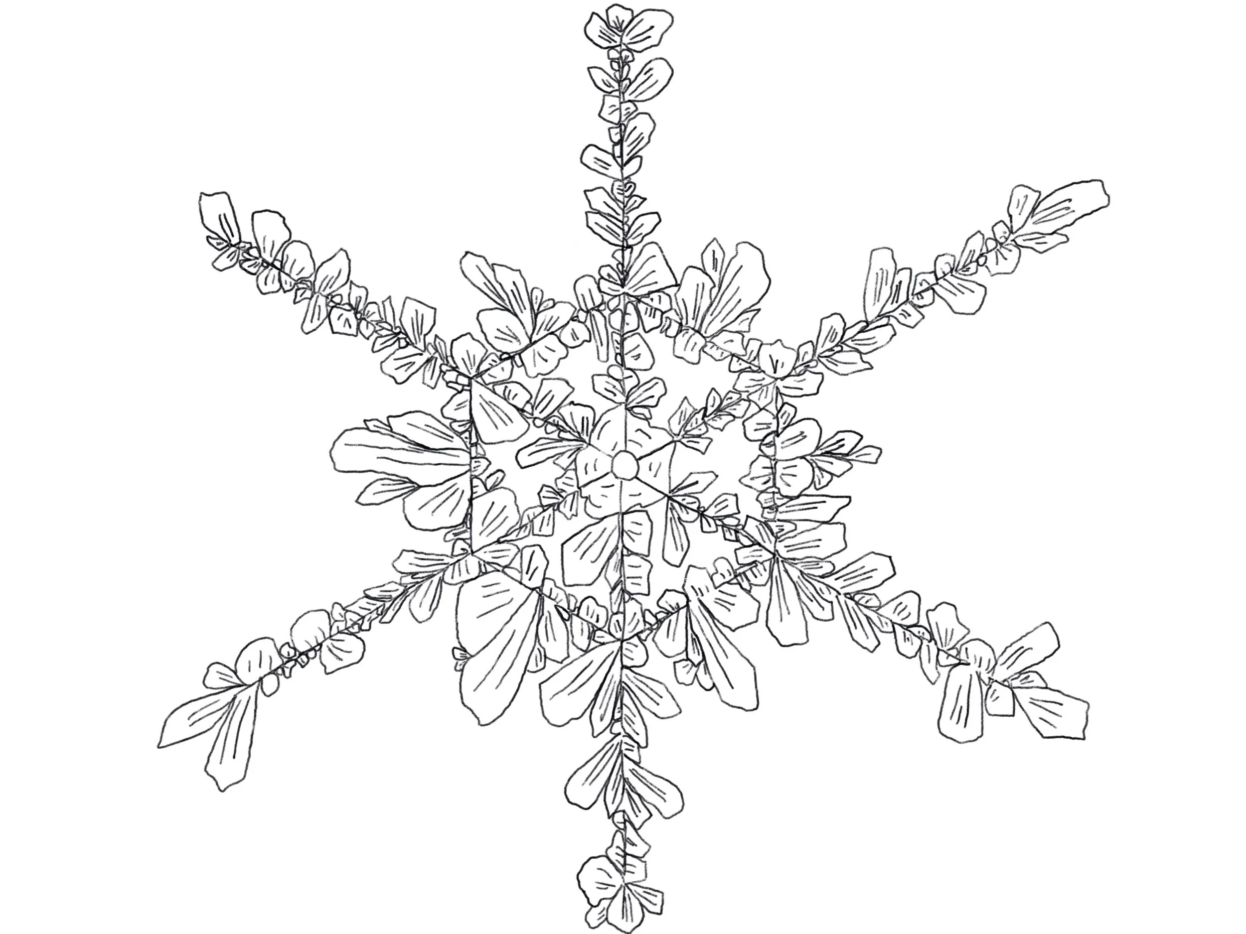 Snowflake