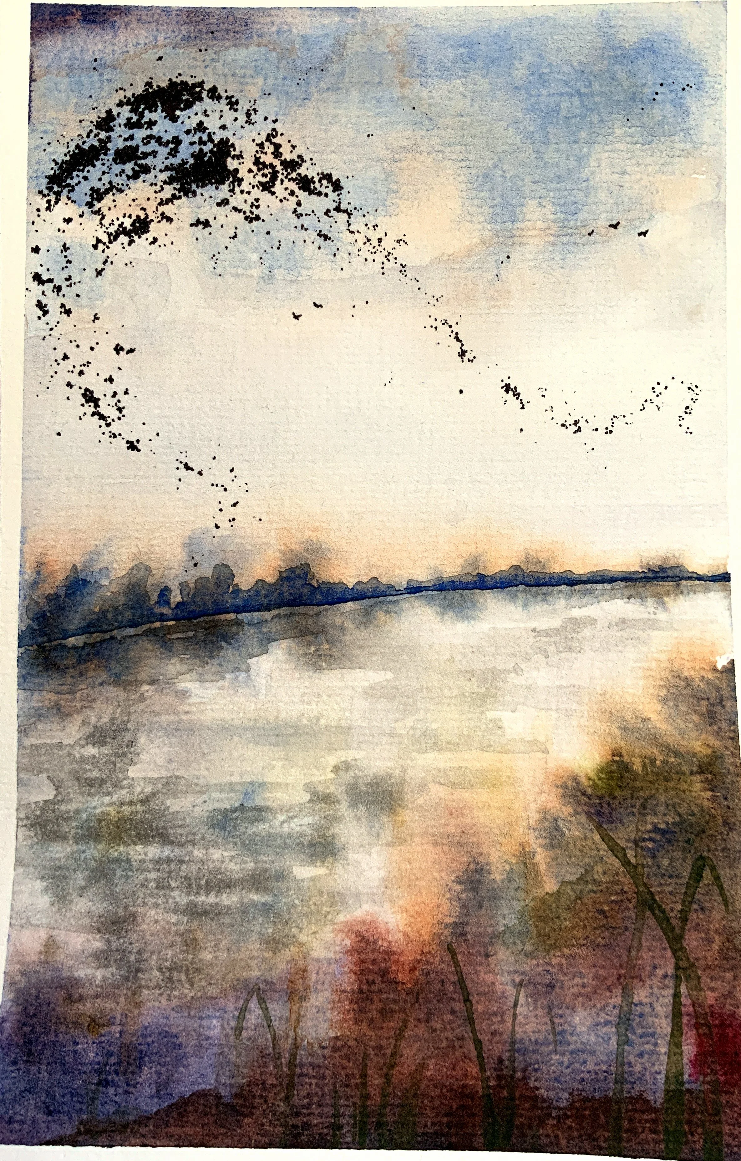 Evening Murmuration; watercolor