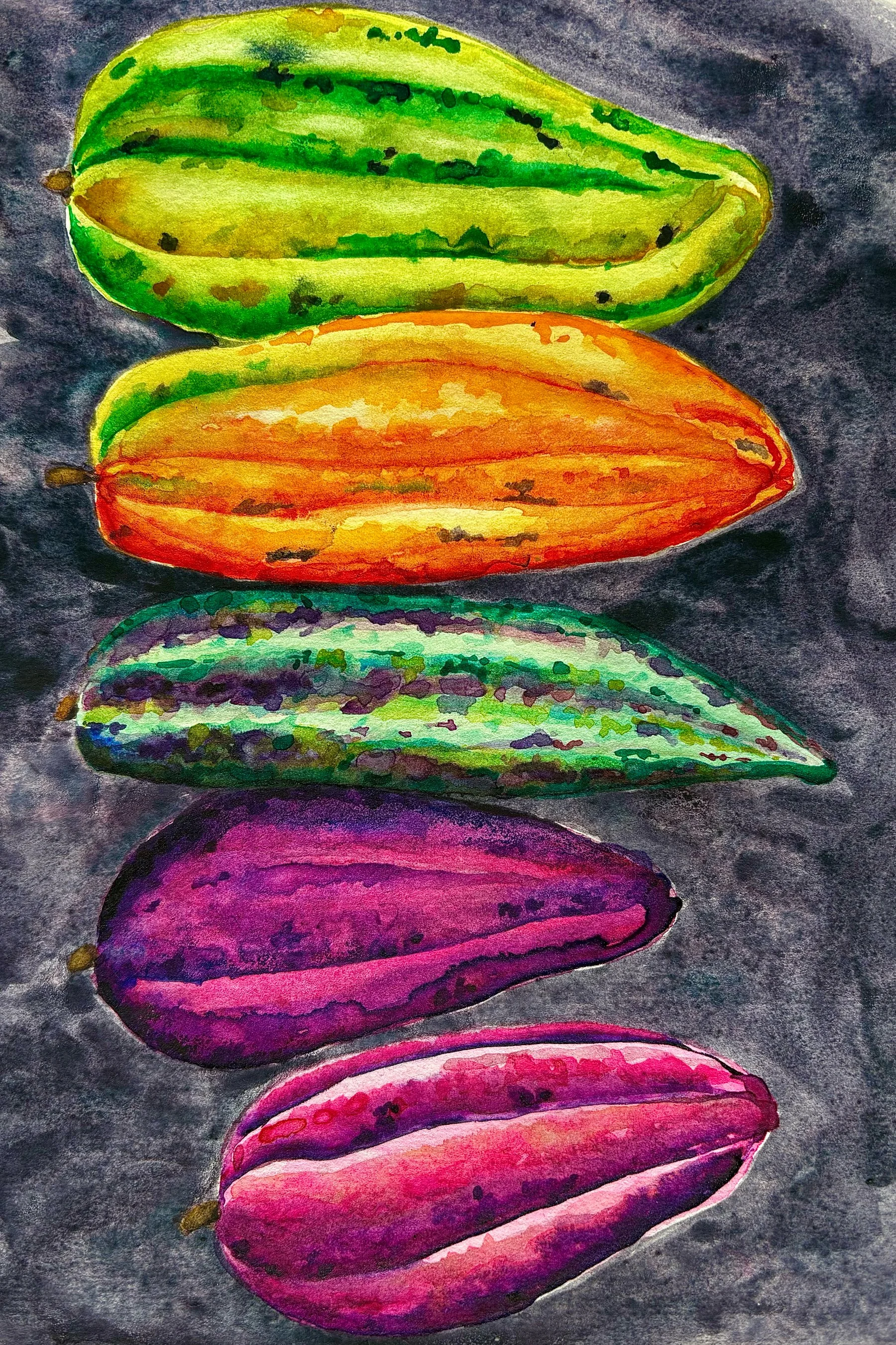 Cacao Pods