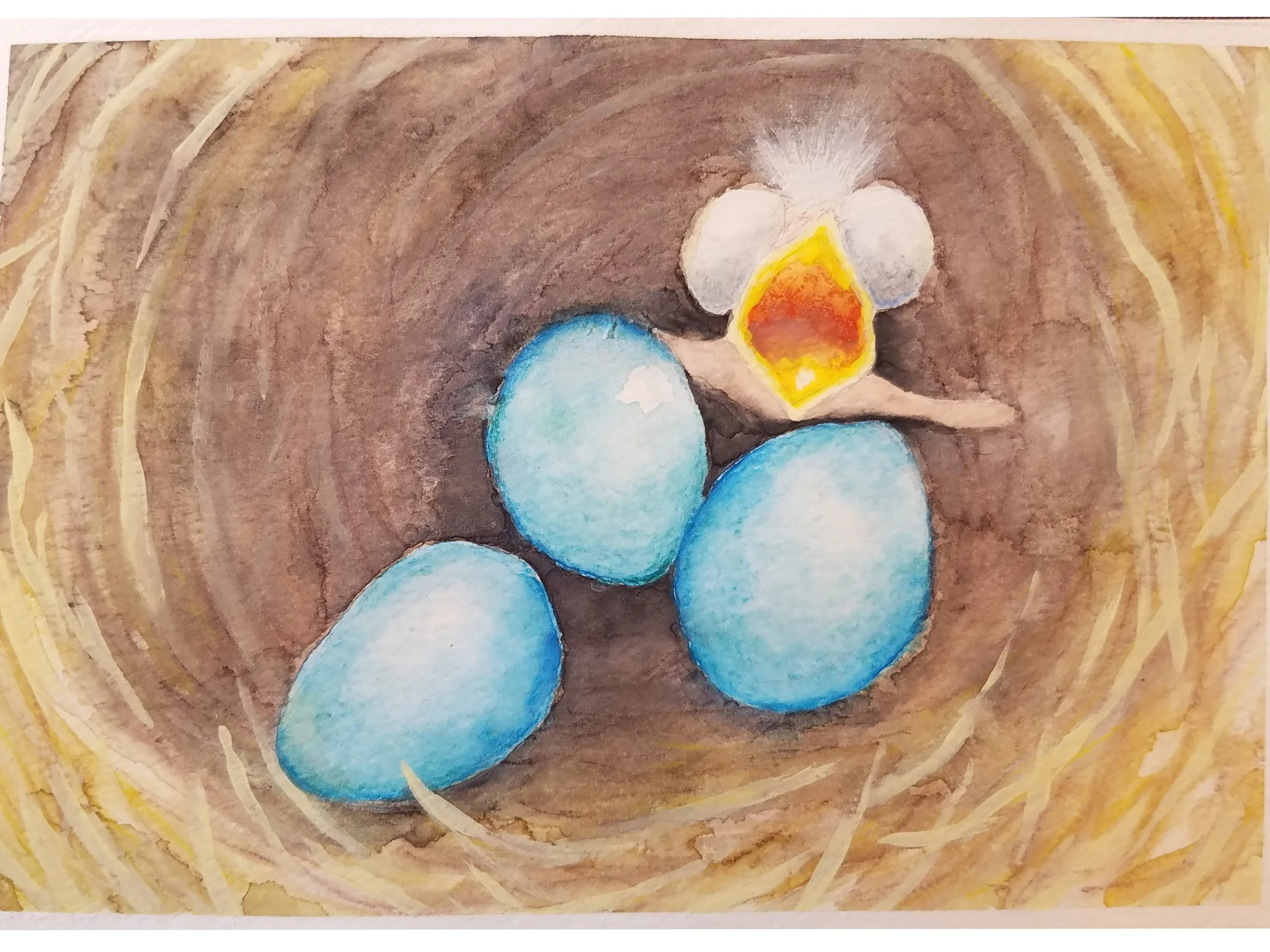 Robin’s Eggs; watercolor and acrylic