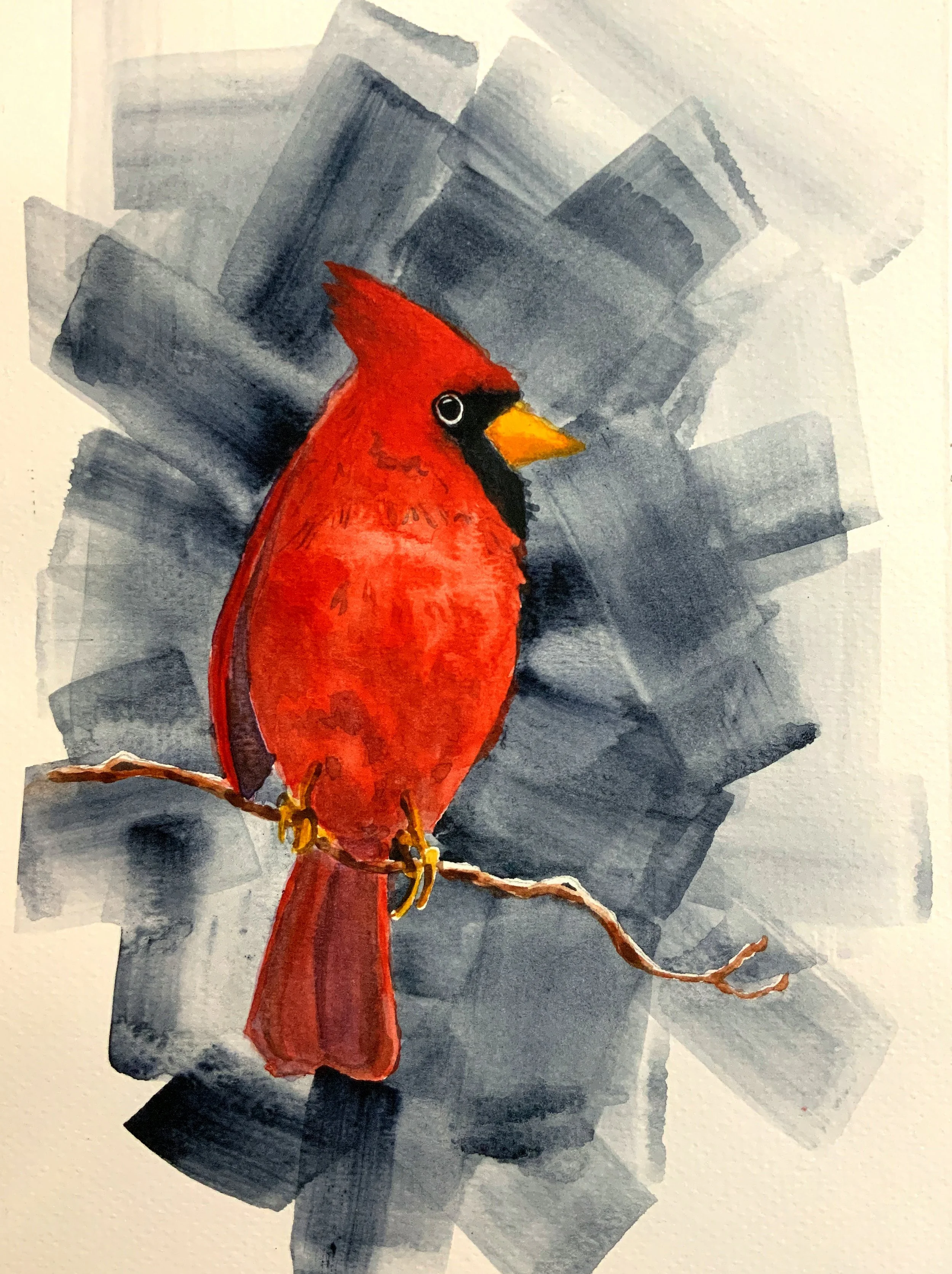 Cardinal; watercolor
