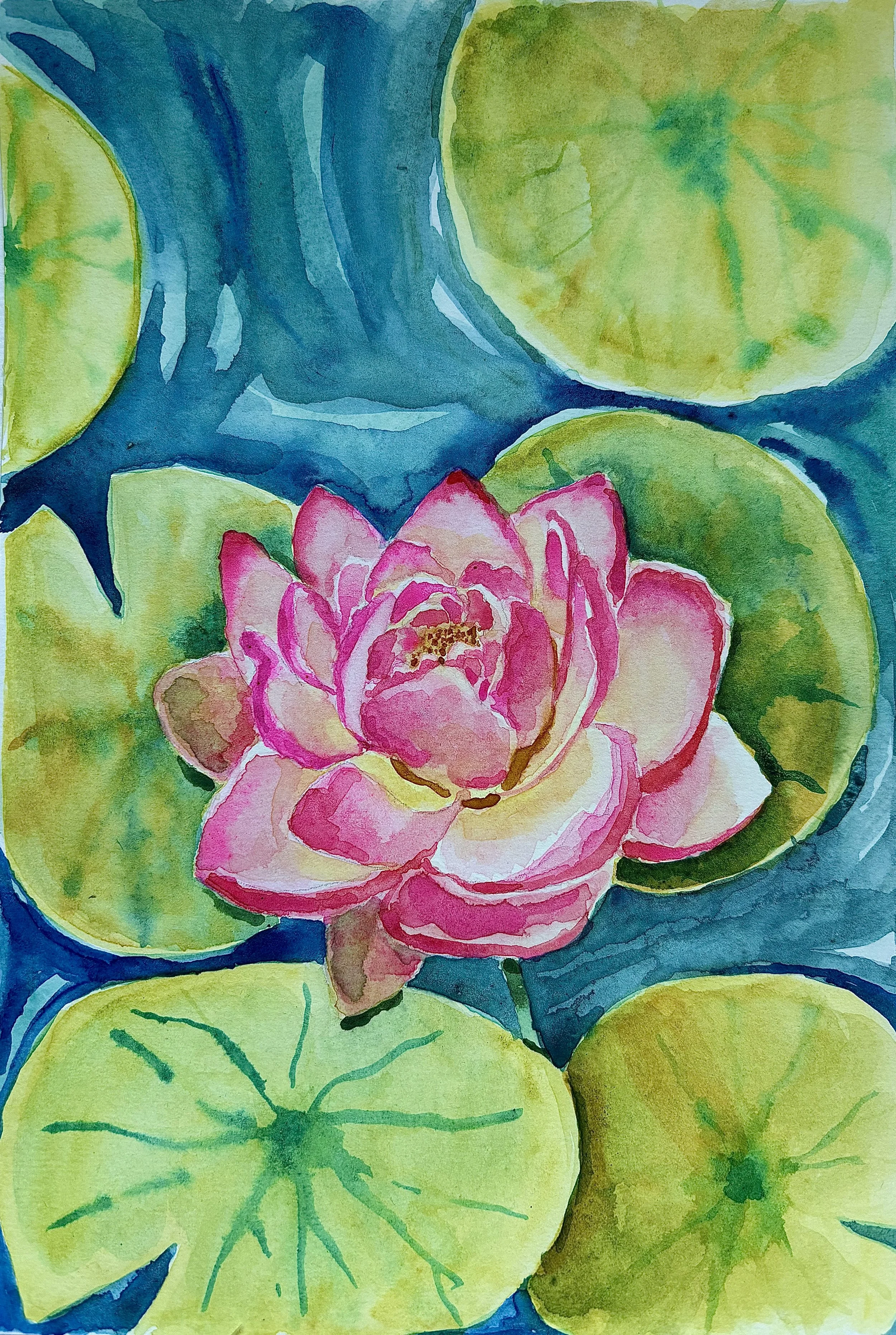 Water Lily; watercolor