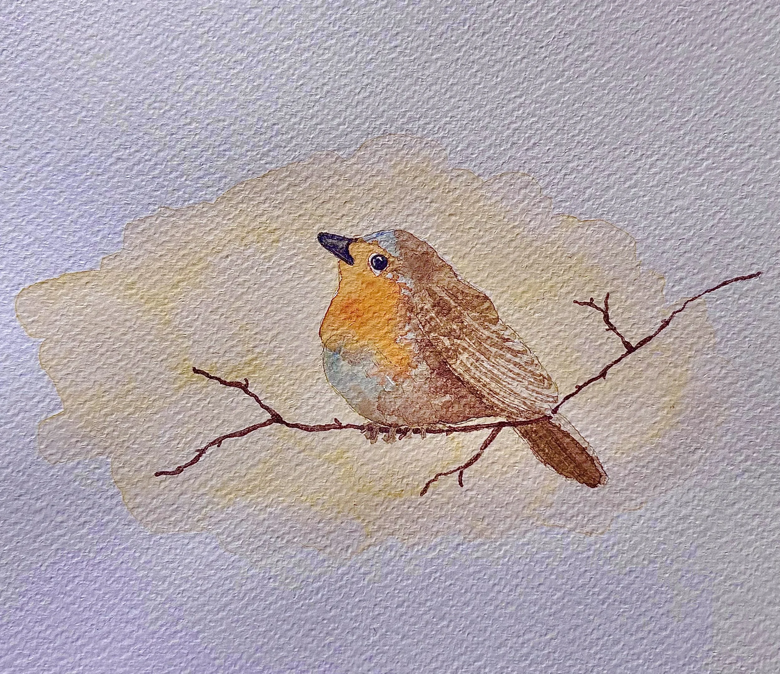 Robin
