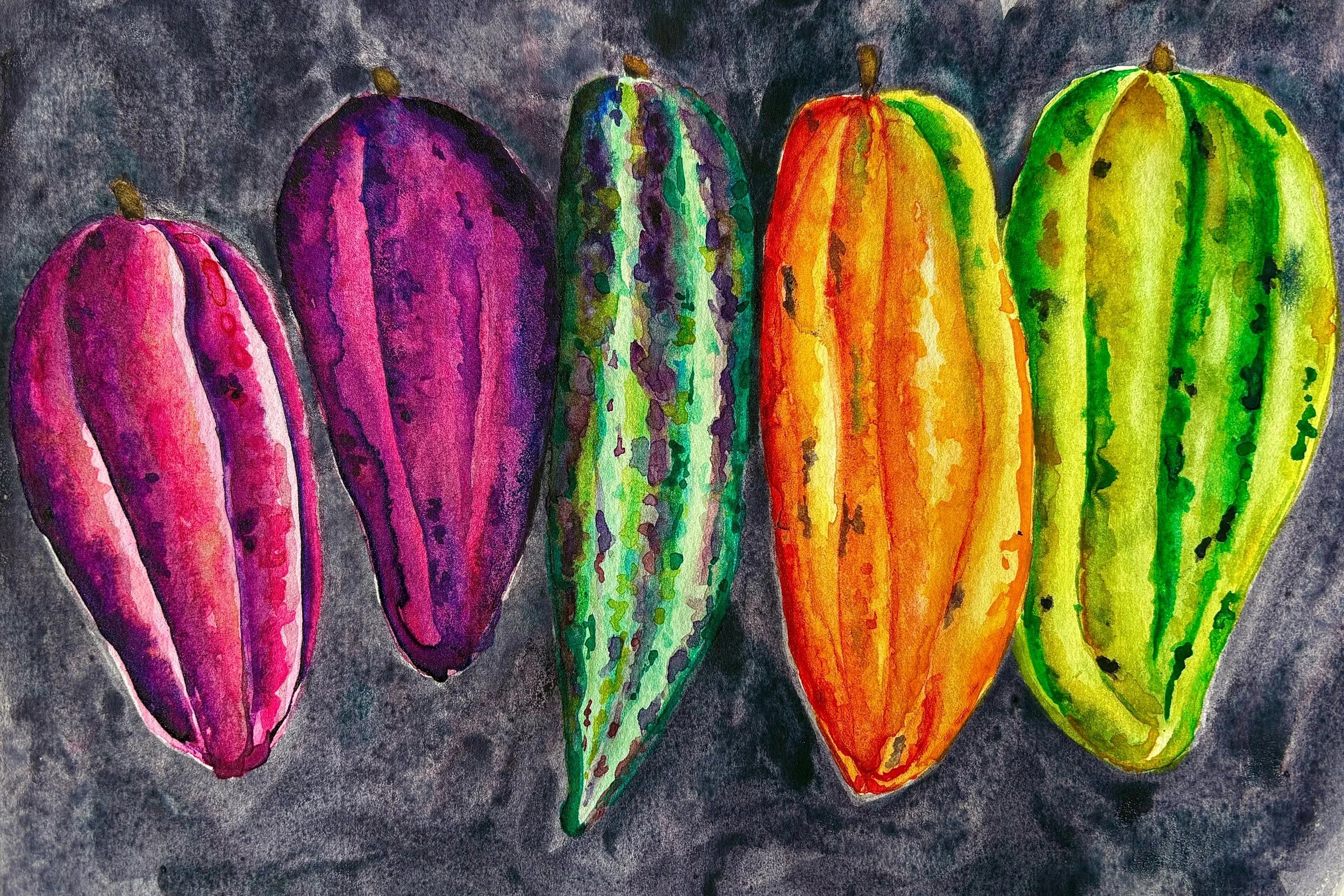 Cacao Pods; watercolor