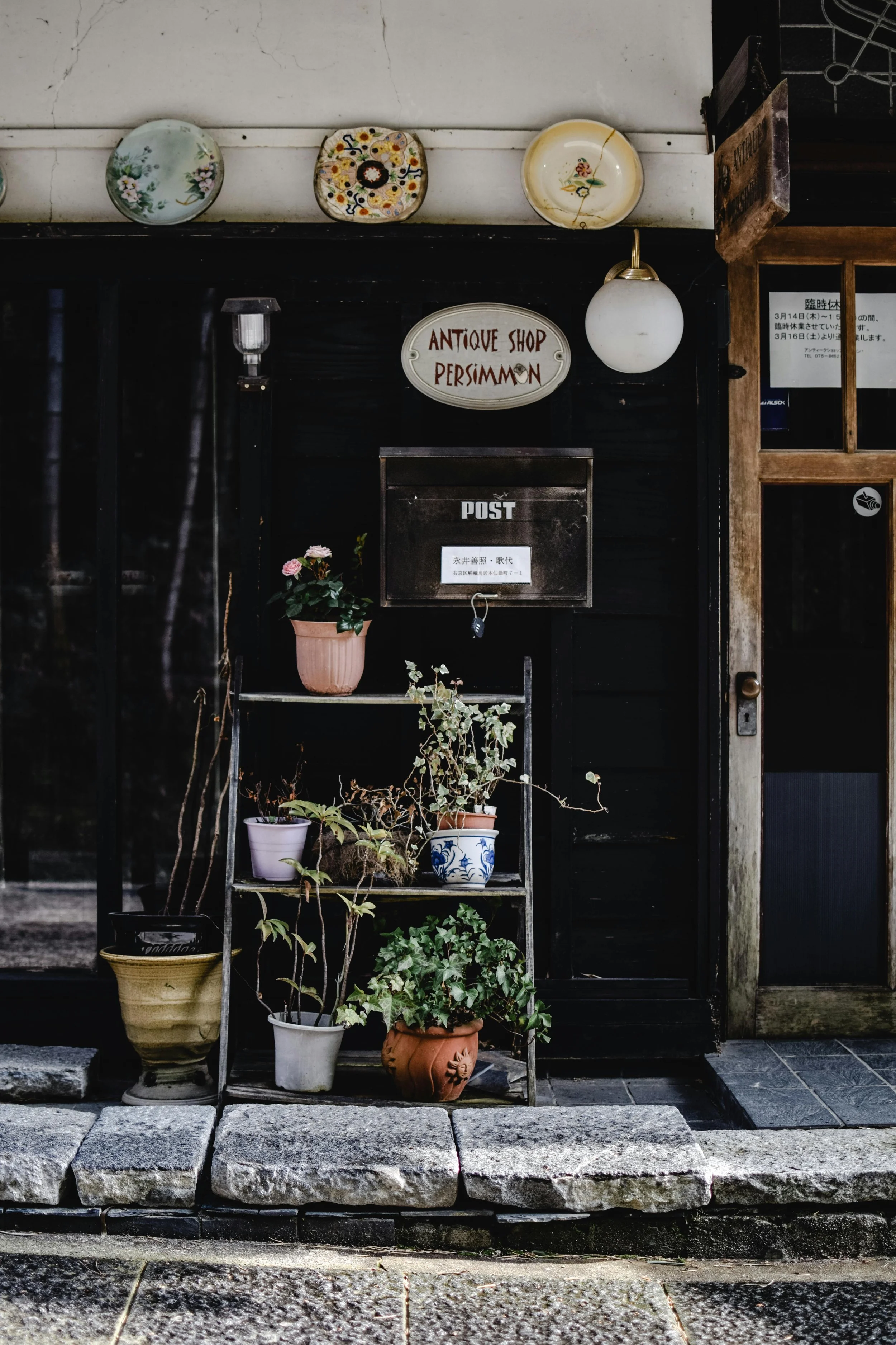 Independent storefront with antiques and wabi sabi plants.