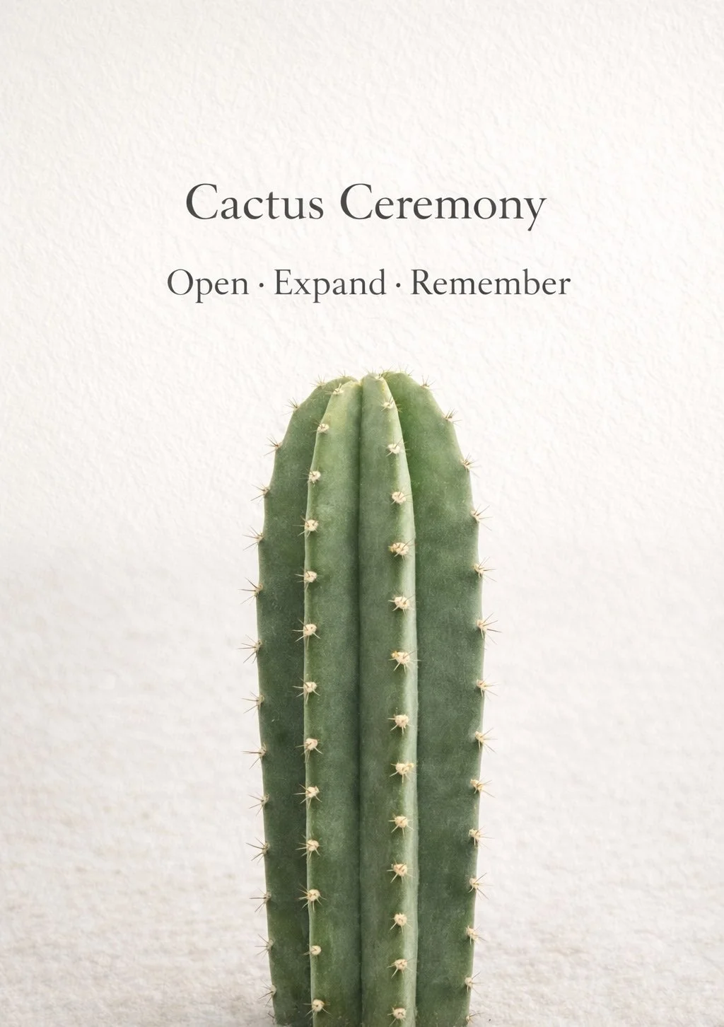 Open, Expand, Remember 