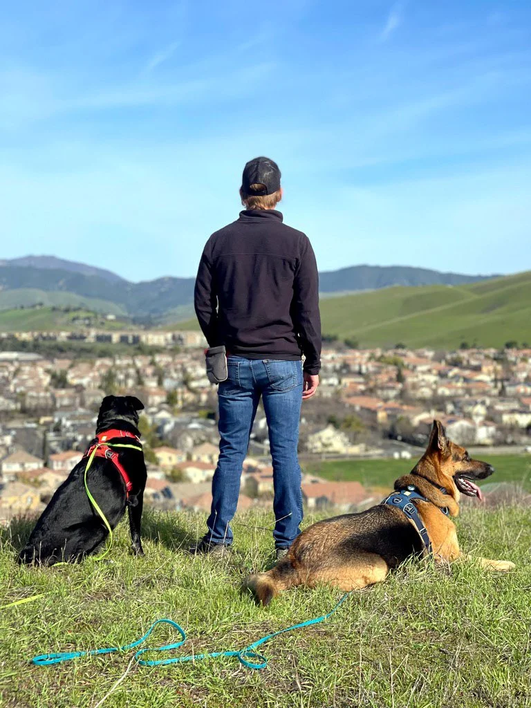 A trainer standing on a hill overlooking a neighborhood with two dogs resting beside him during an outdoor training hike.