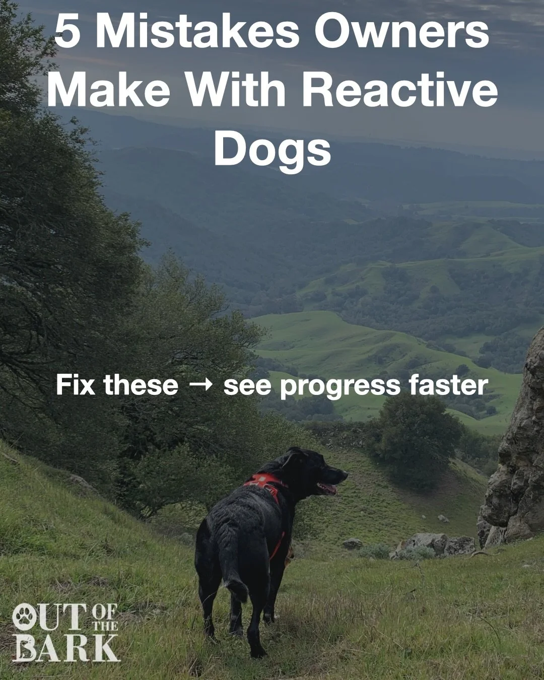Your dog is NOT giving you a hard time&hellip;They are having a hard time.  #reactivedog #dogs #dogtrainer #dogtraining #dogtrainingtips #goodboy #germanshepherd ##bordercollie #cattledog #bayareadogs #bayareadogtrainer #bayareadogtraining
