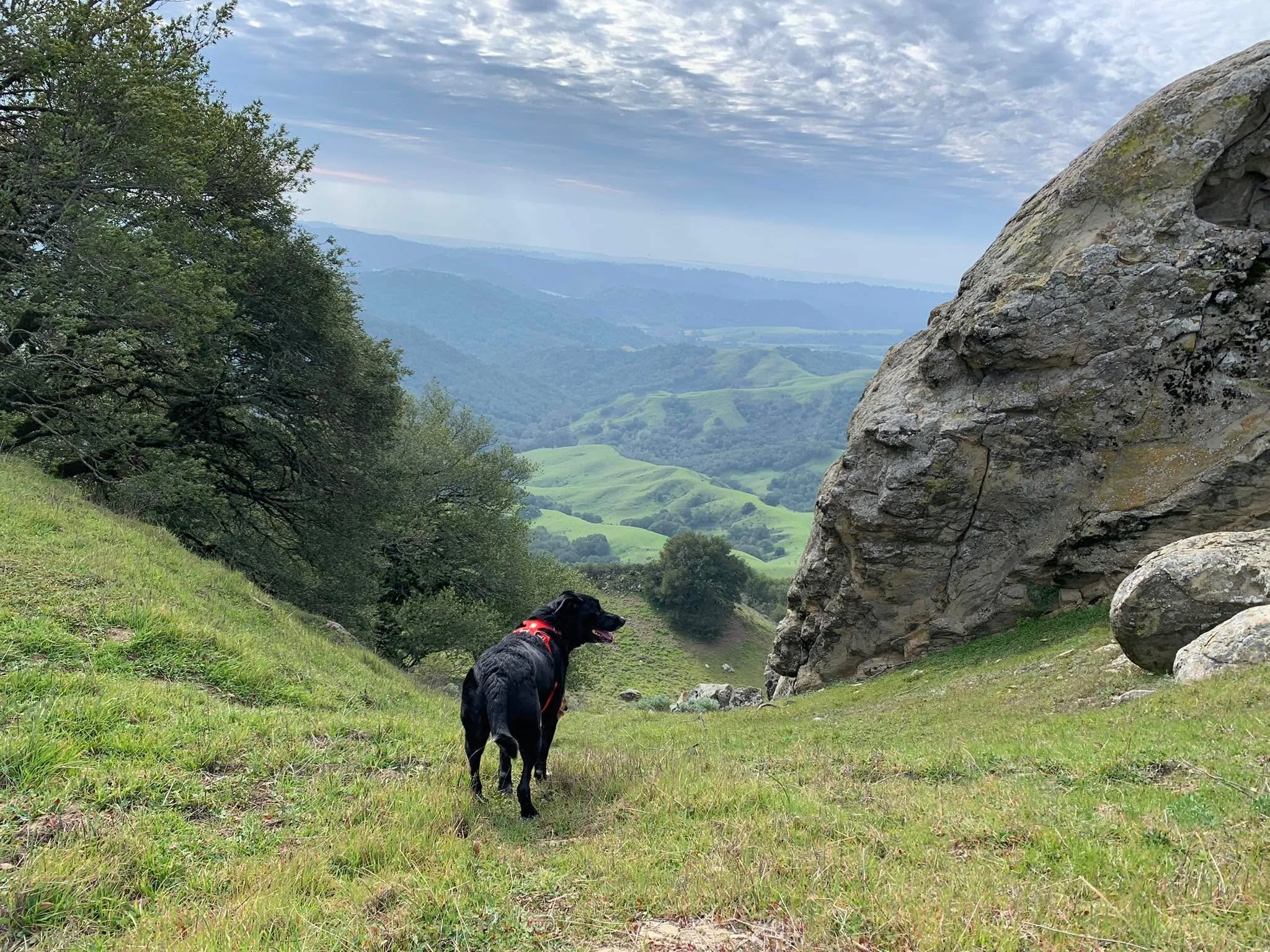 My friend is asking those who love the outdoors to post a picture. A picture that YOU took. Just a pic. No description. The goal is to regain peace and harmony without negativity. Ultimately changing the algorithms.
Please copy the text of this post,