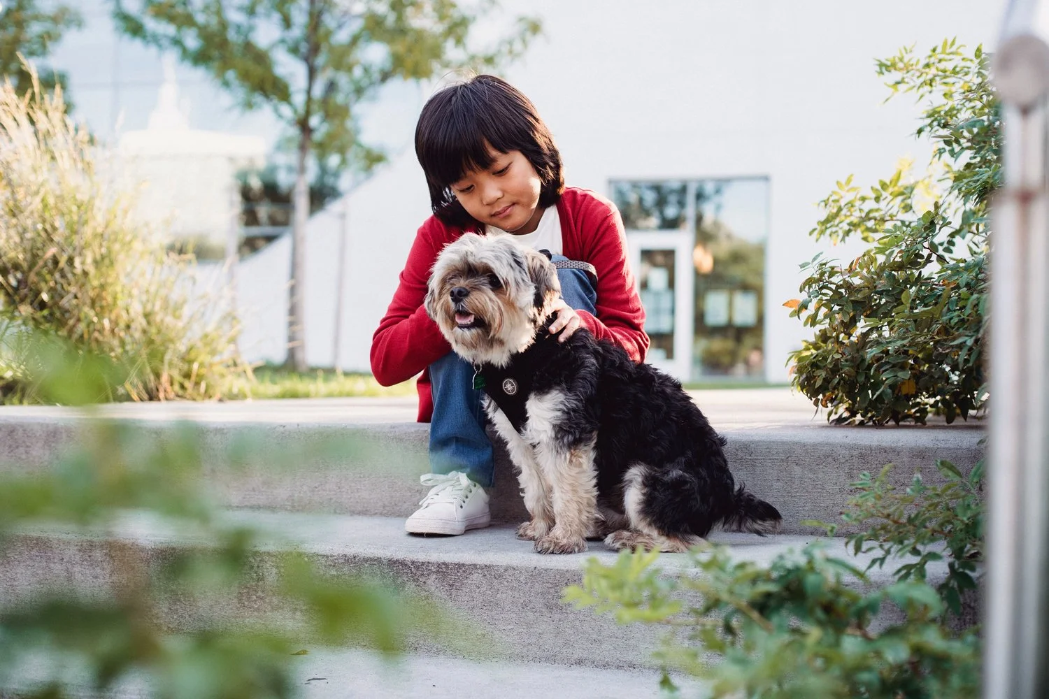 A child sitting on outdoor steps petting a small fluffy dog, showing calm engagement and connection.