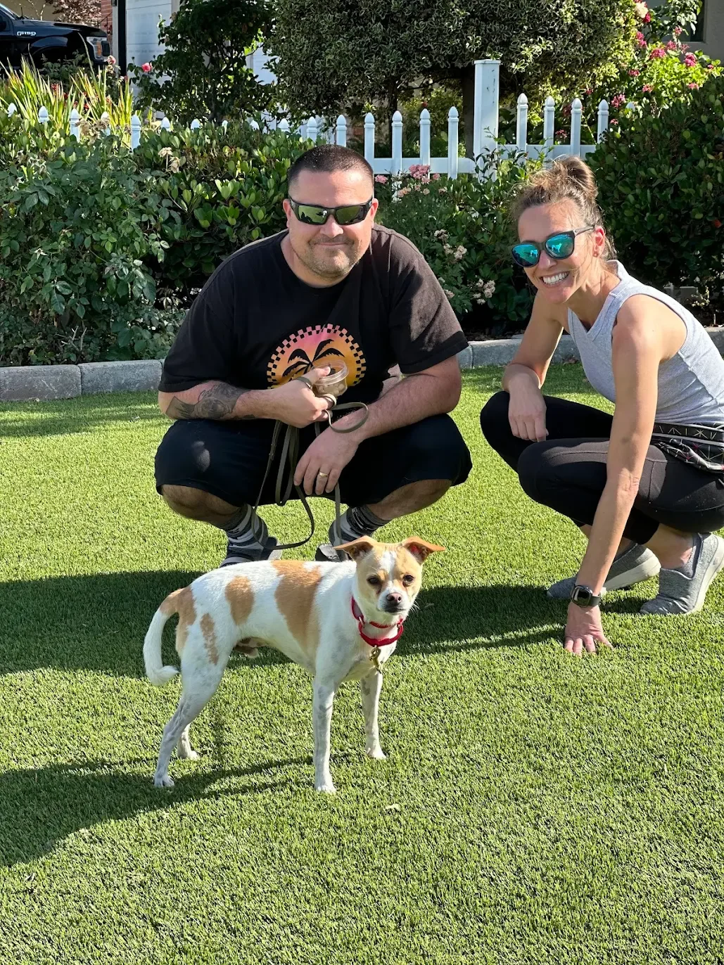A smiling man and woman crouching on a green lawn with a small white dog with brown spots. The man is wearing sunglasses, a black T-shirt, and shorts, holding a leash. The woman is wearing sunglasses, a gray sleeveless shirt, black leggings, and sneakers. They are outdoors near a white picket fence and green bushes.