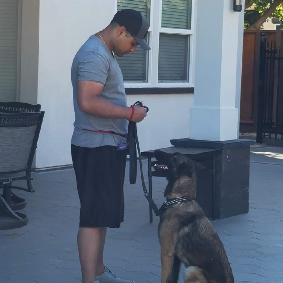Leash training in the park