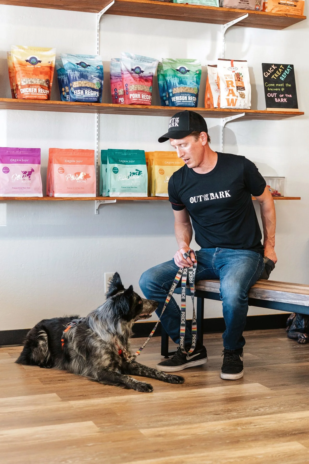 Out of the Bark trainer sitting on a bench while guiding a black and gray dog lying on the floor during an indoor training lesson