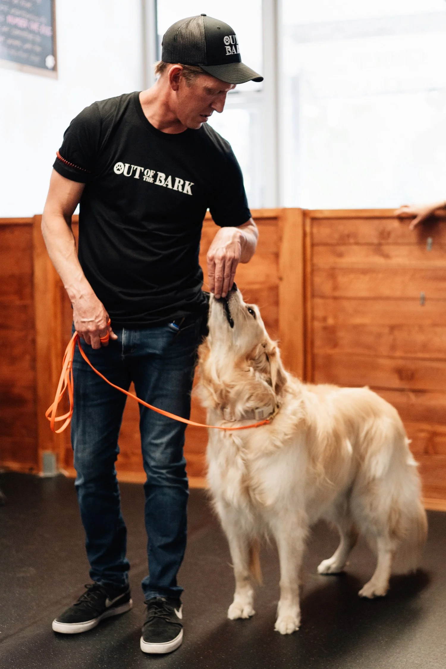 A golden retriever looking up at a trainer while being rewarded with a treat during loose-leash and engagement practice.