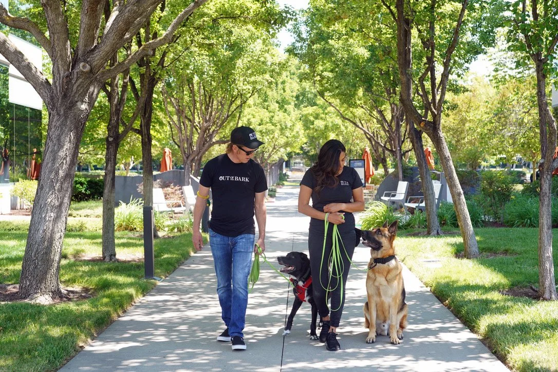 Two people walking dogs on a tree-lined sidewalk in a park