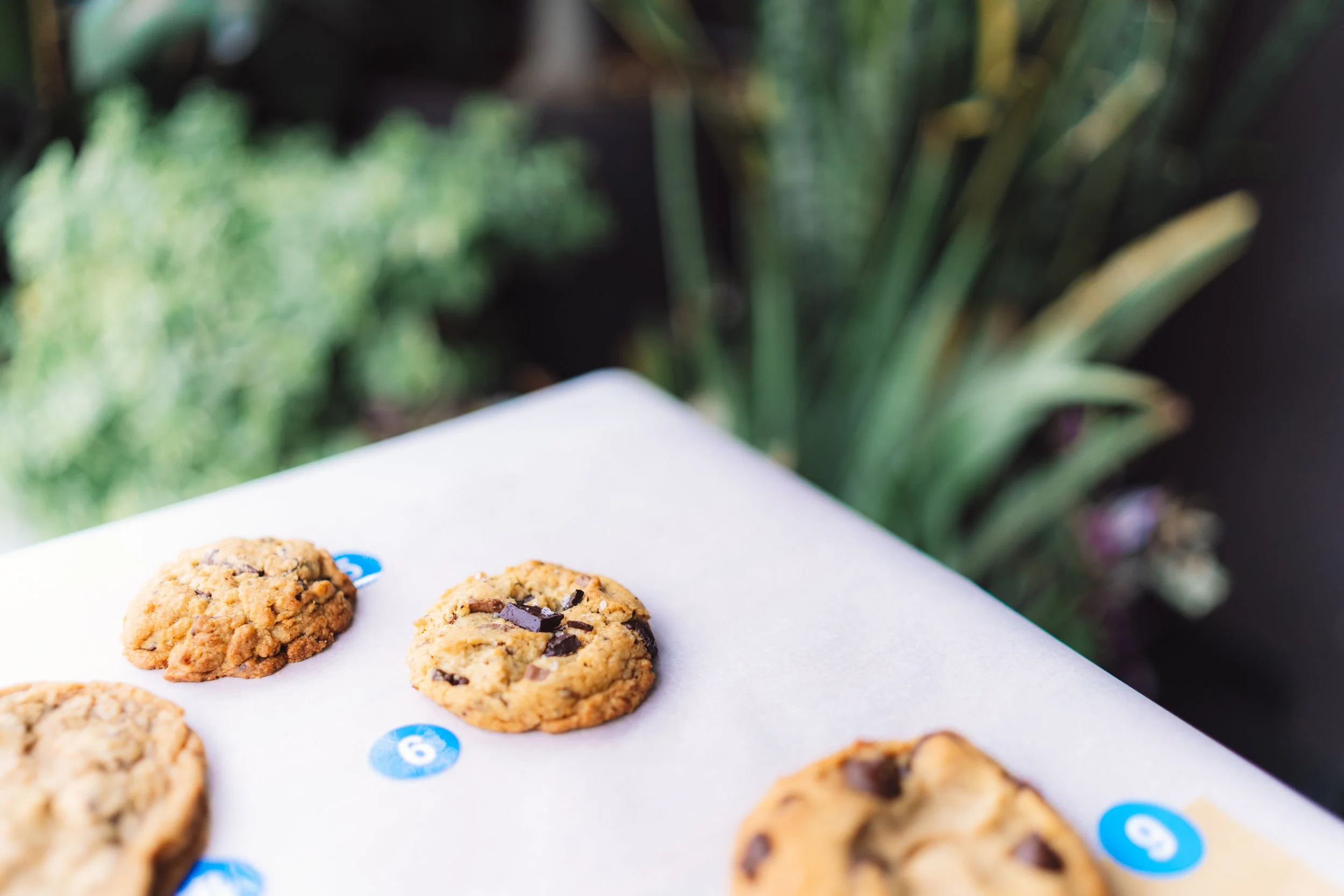 Cookie Classic 2025-135.jpg