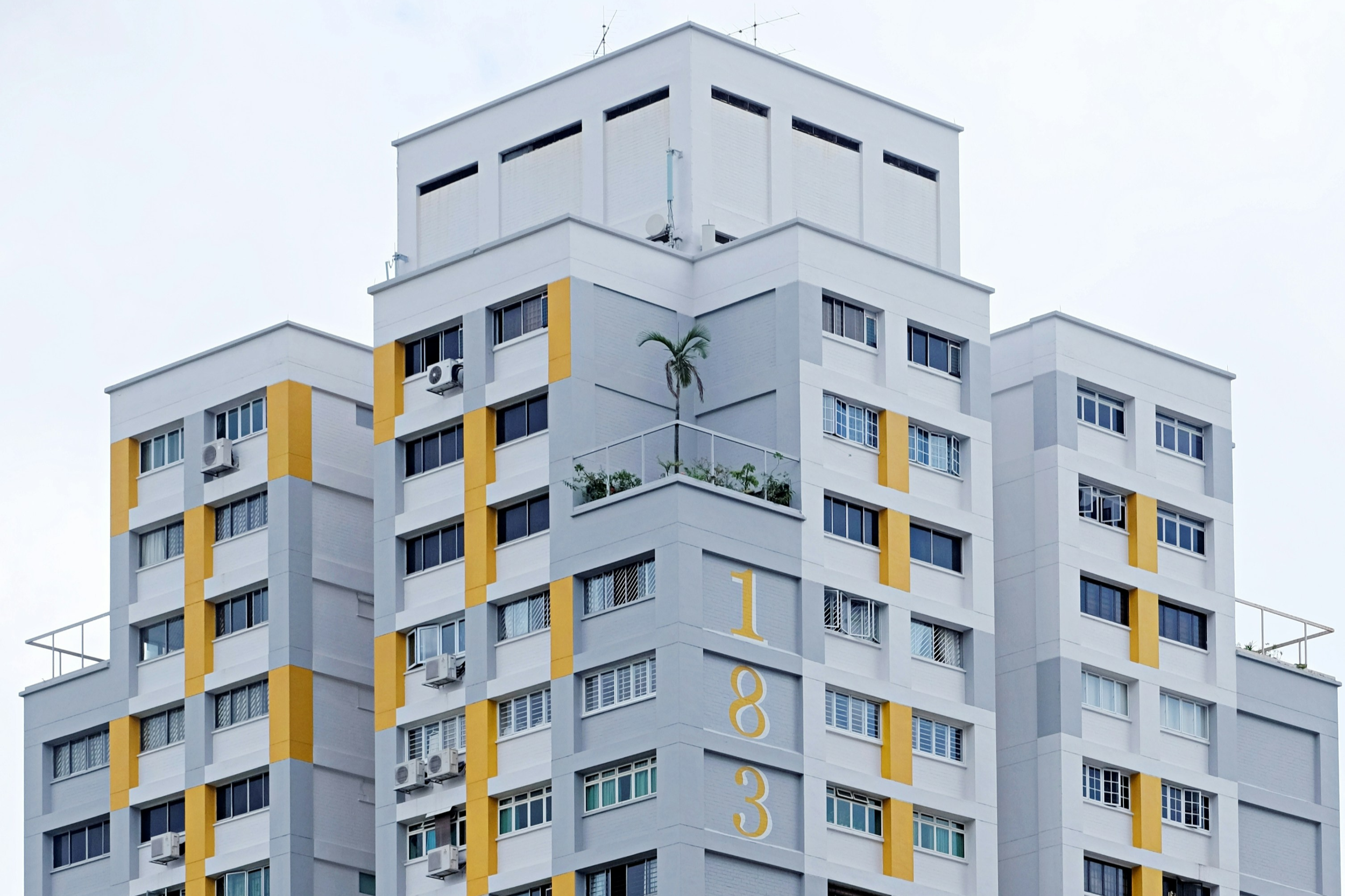 Living in the Gray Area