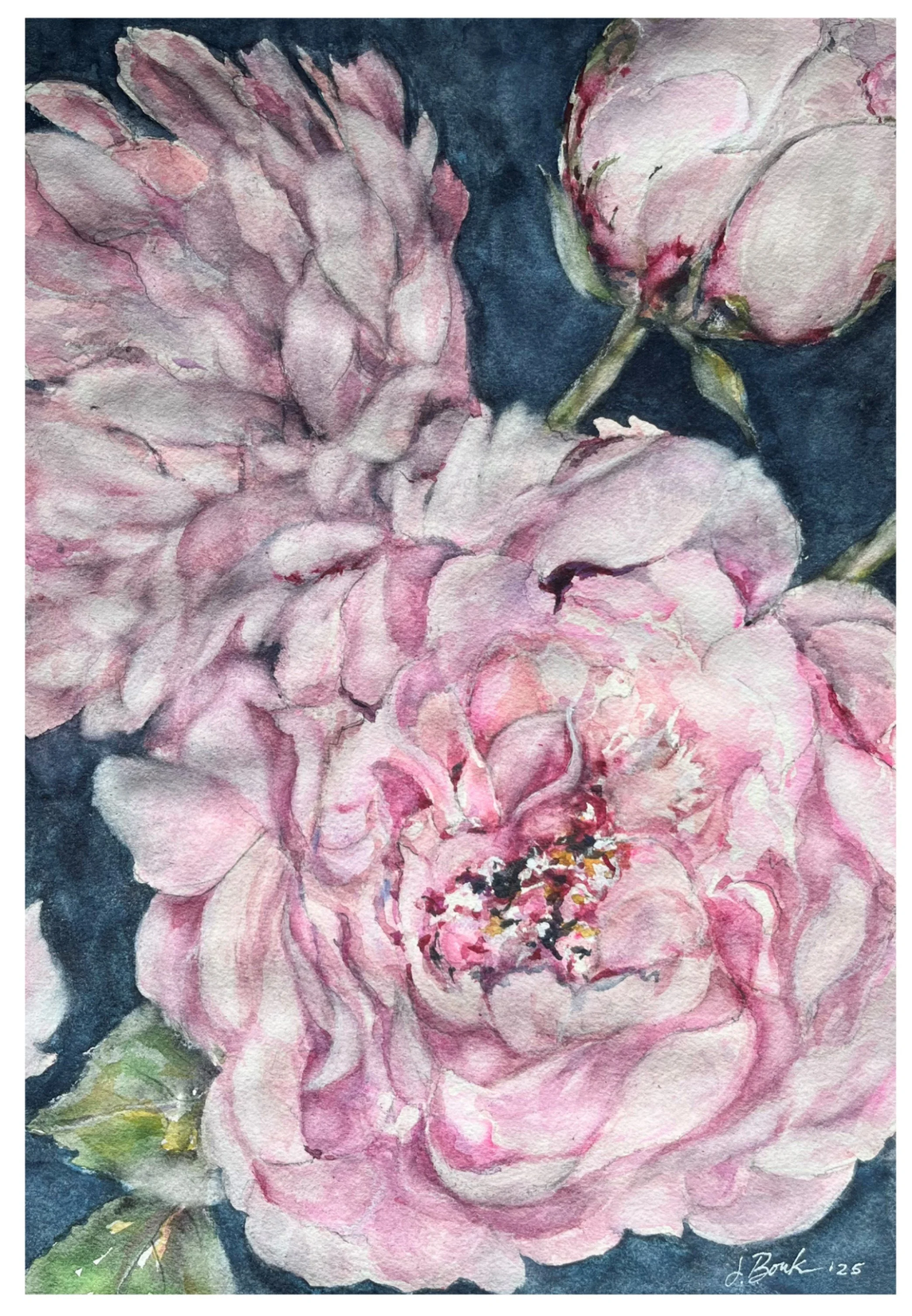 Original Watercolor Paintings