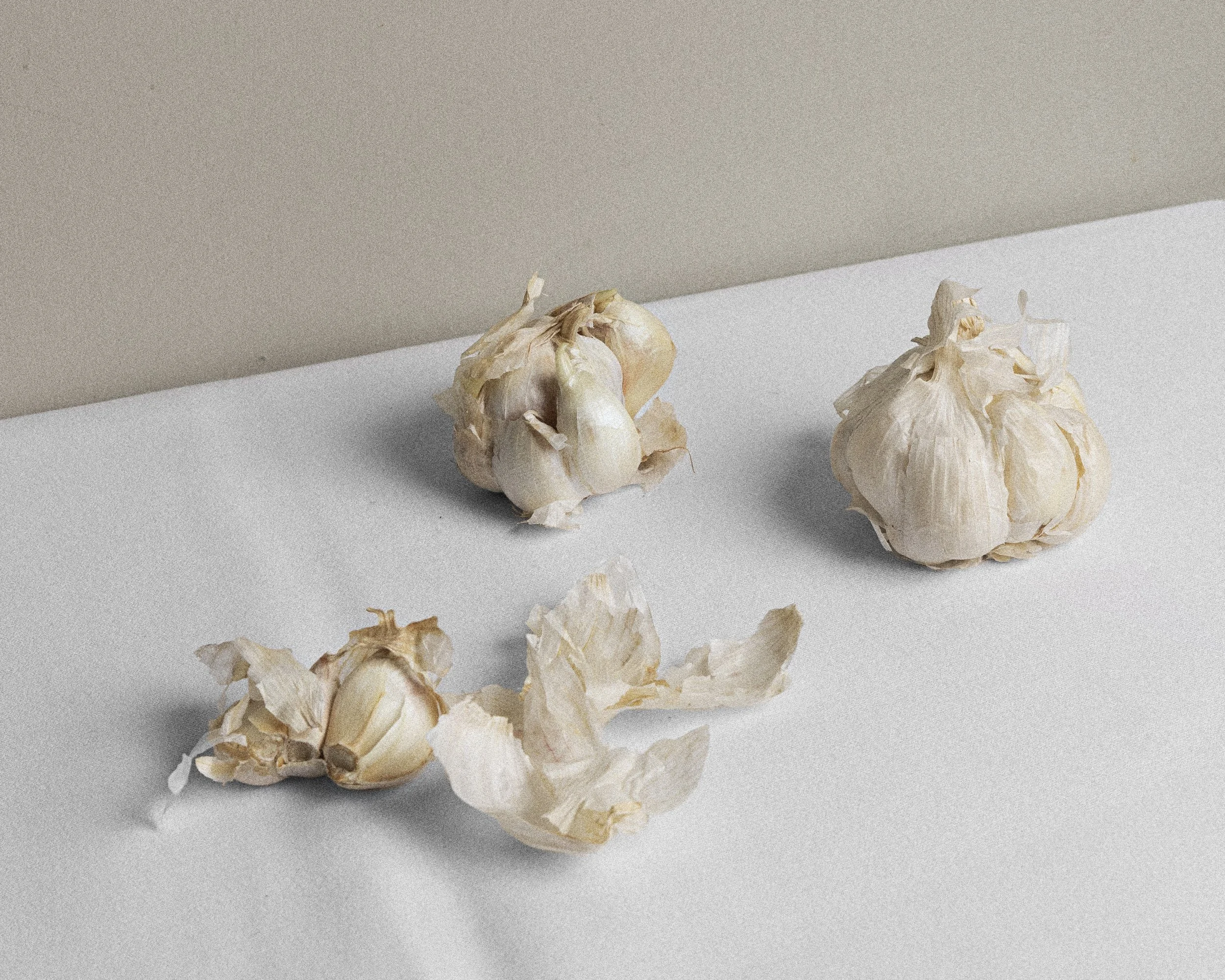 Brdr-Price_DNA_240110_15 kopier.jpg