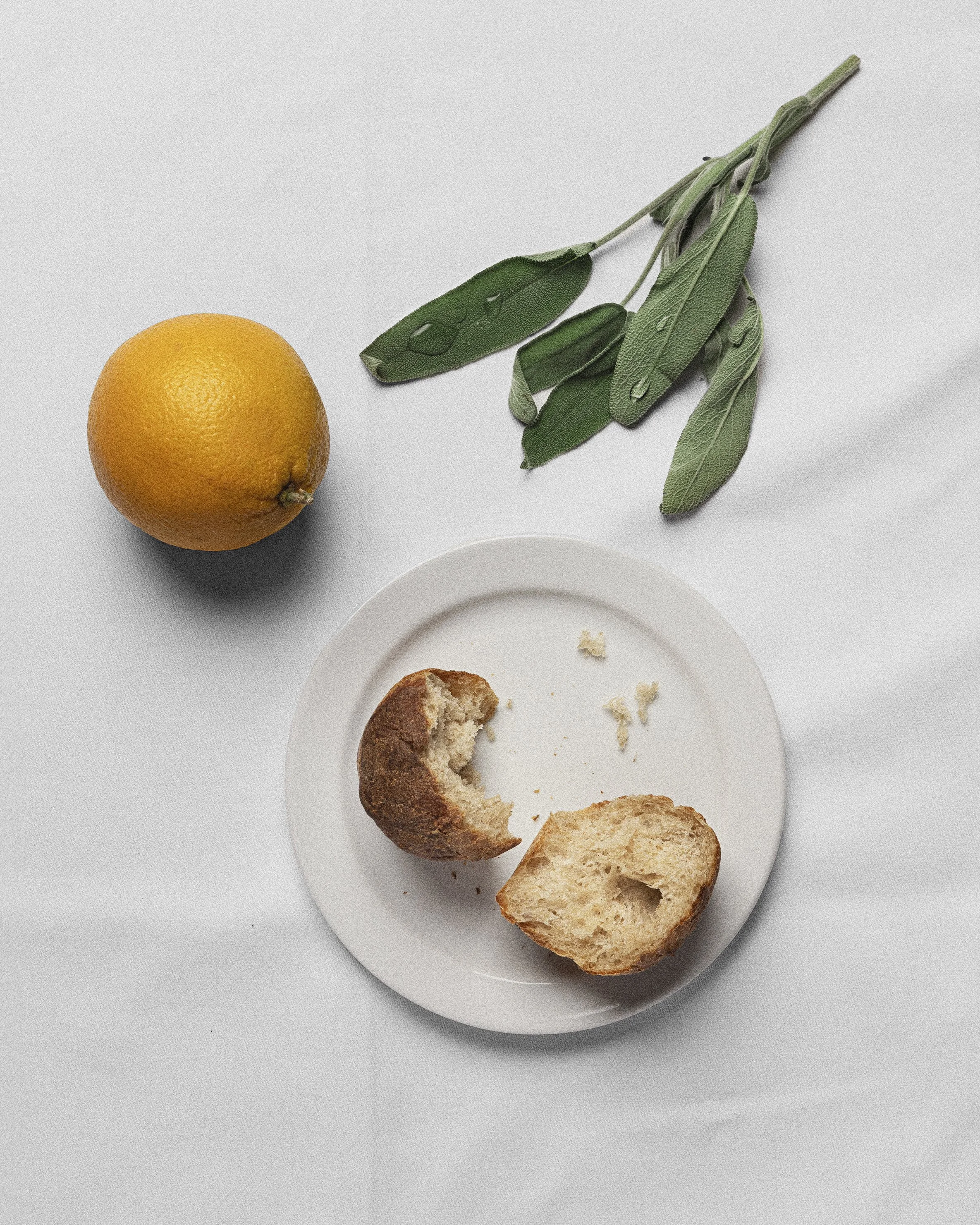 Brdr-Price_DNA_240110_07 kopier.jpg