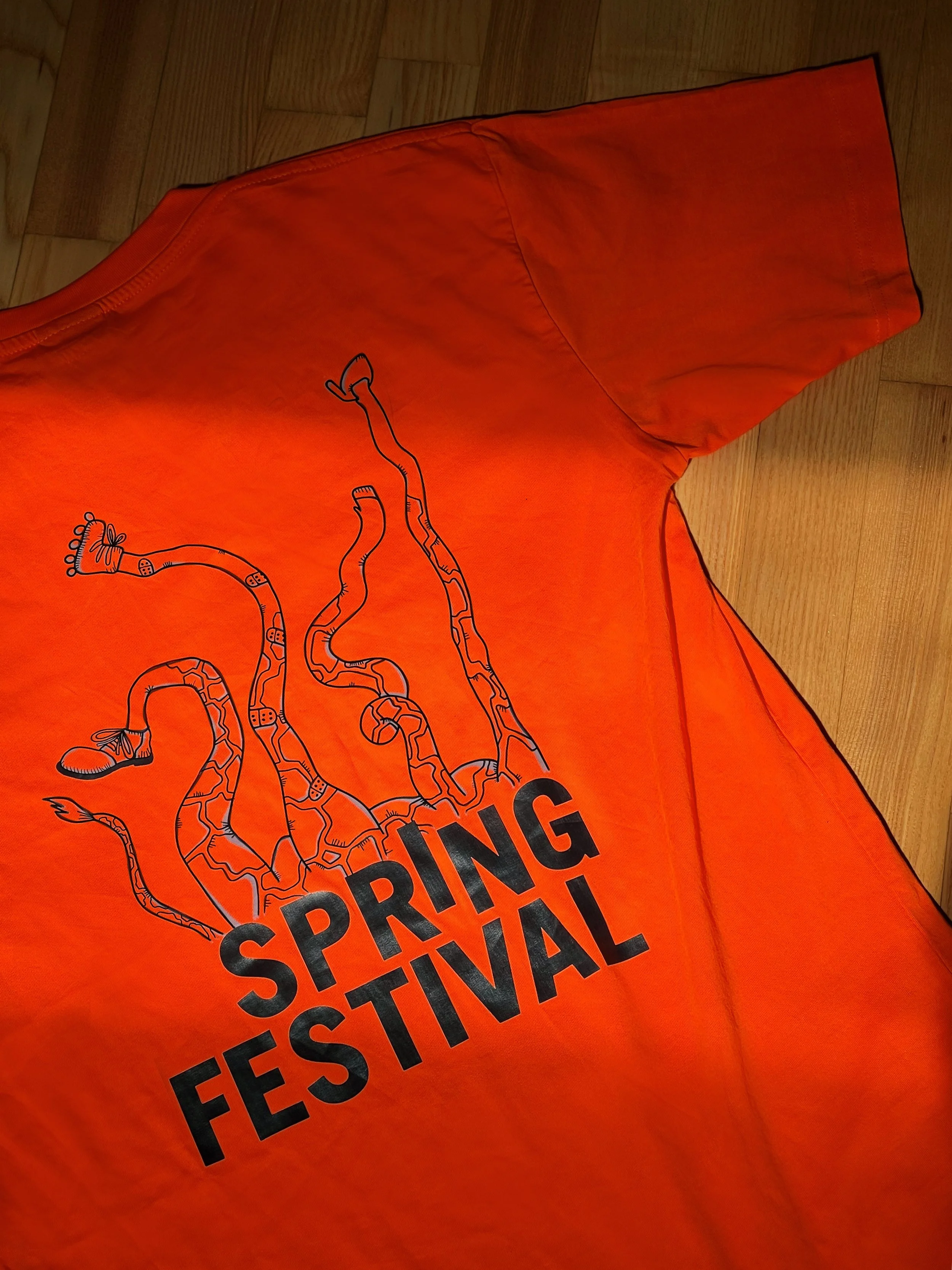 Springfestival-tshirt.JPG