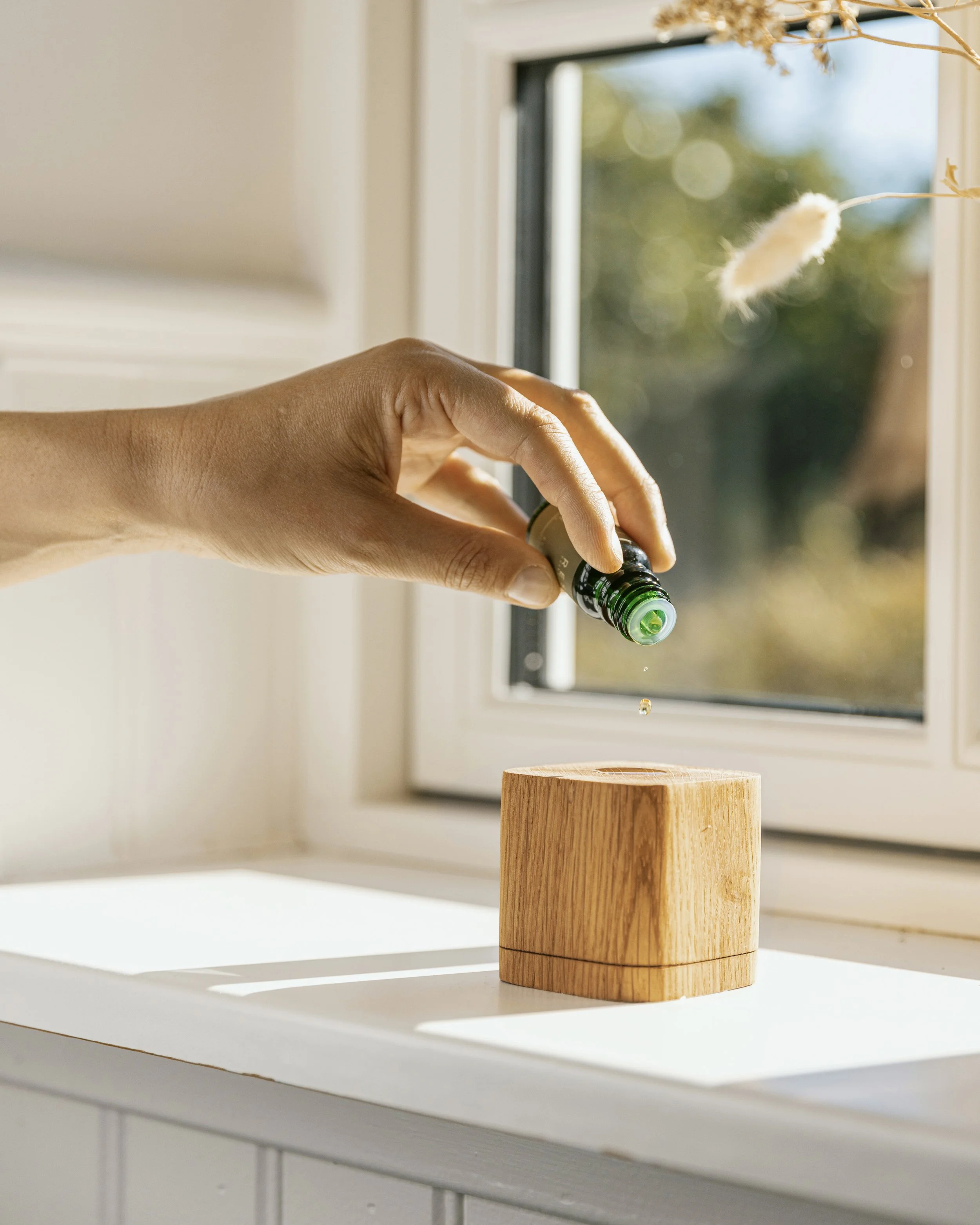 RESET-ESSENTIALS_Location_sep25_26 kopier.jpg