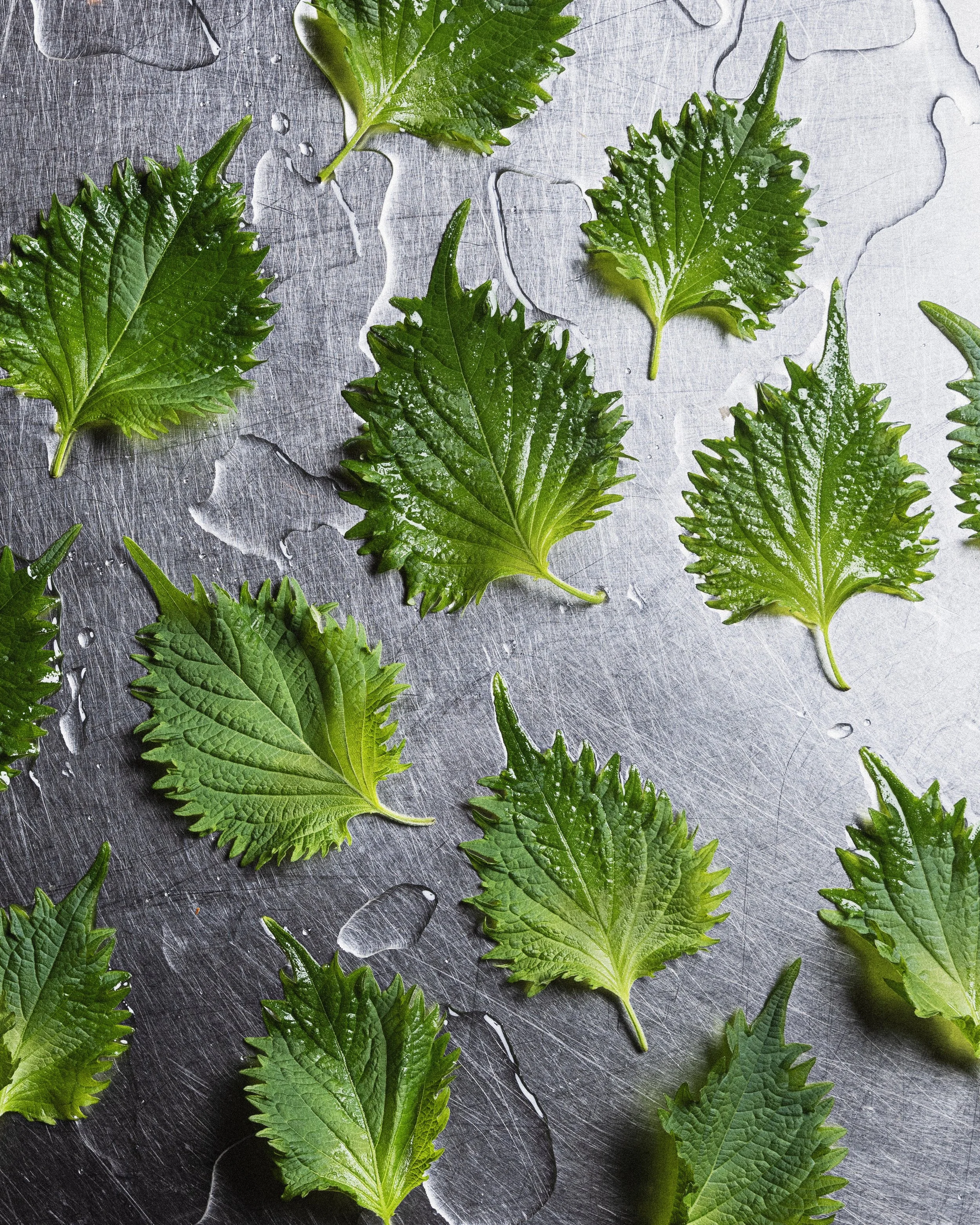 Bermuda_231005_17_4x5 2.JPG