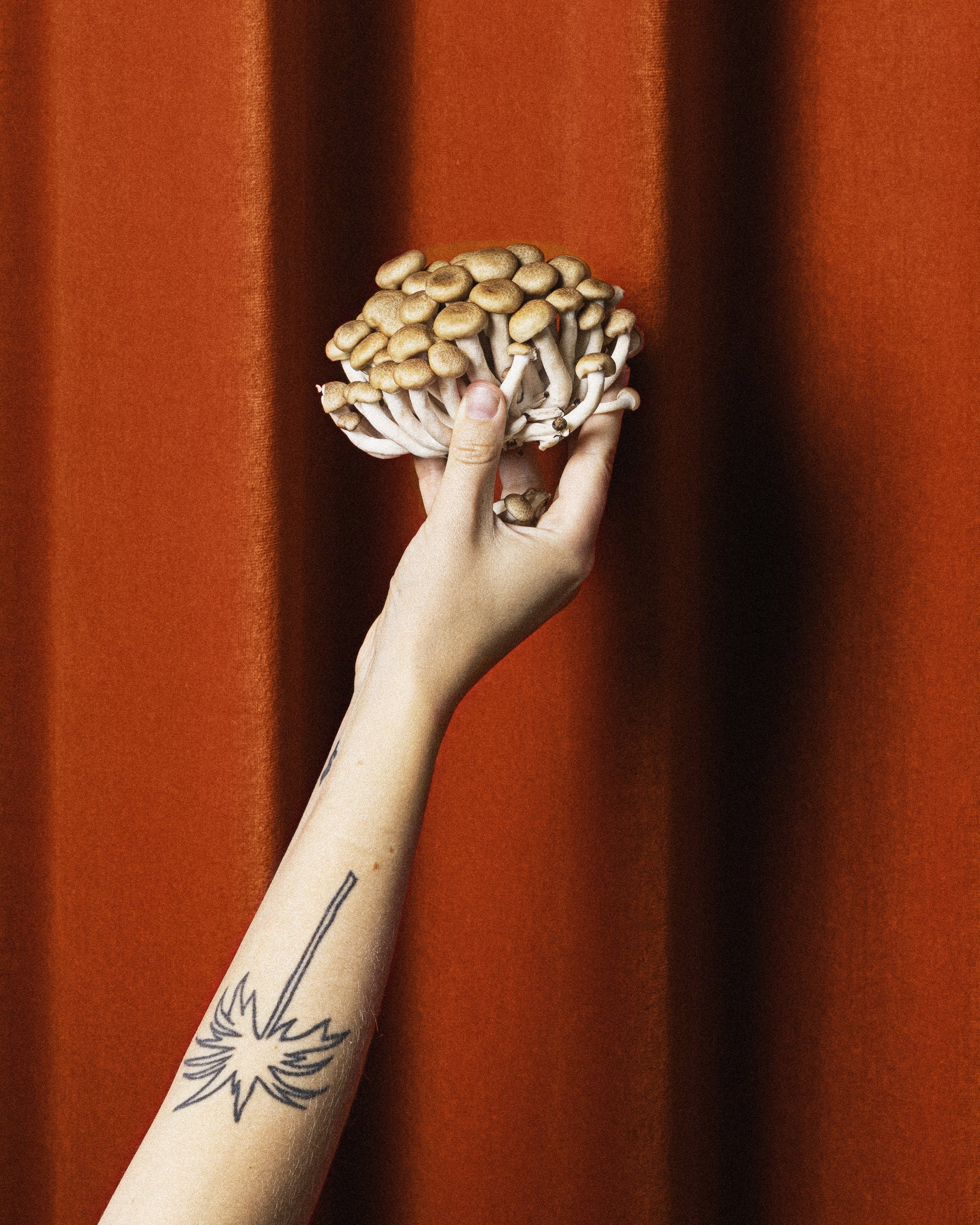 Bermuda_231005_19_4x5 2.JPG