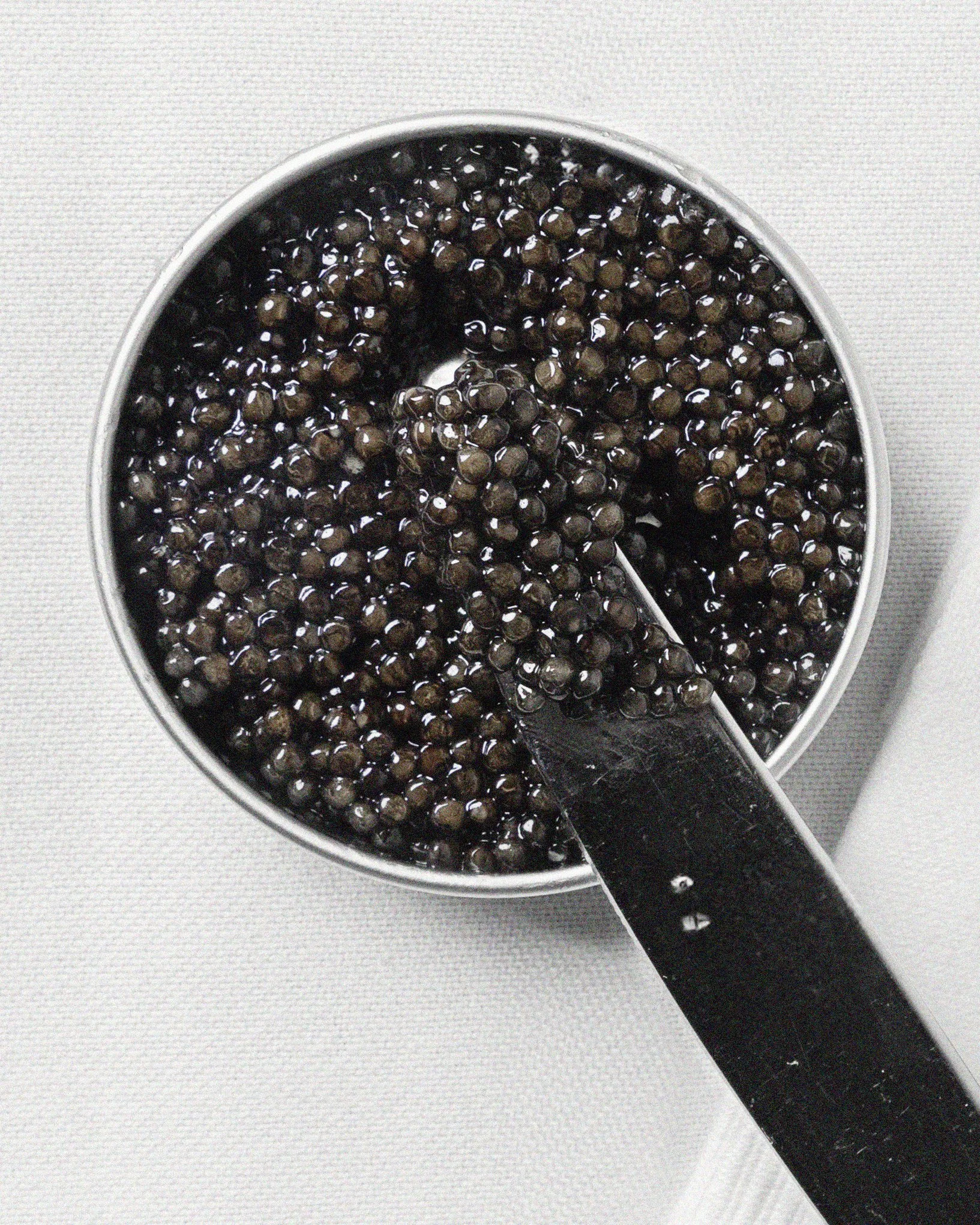 Brdr-Price_Frokost_240116_14 kopier.jpg