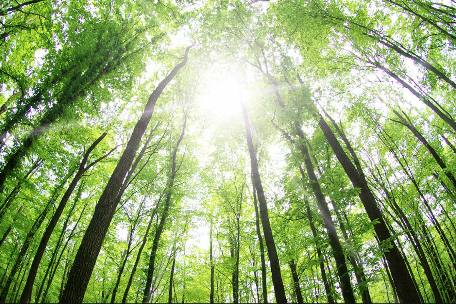 Screen Shot 2018-06-13 at 6.11.33 PM.png