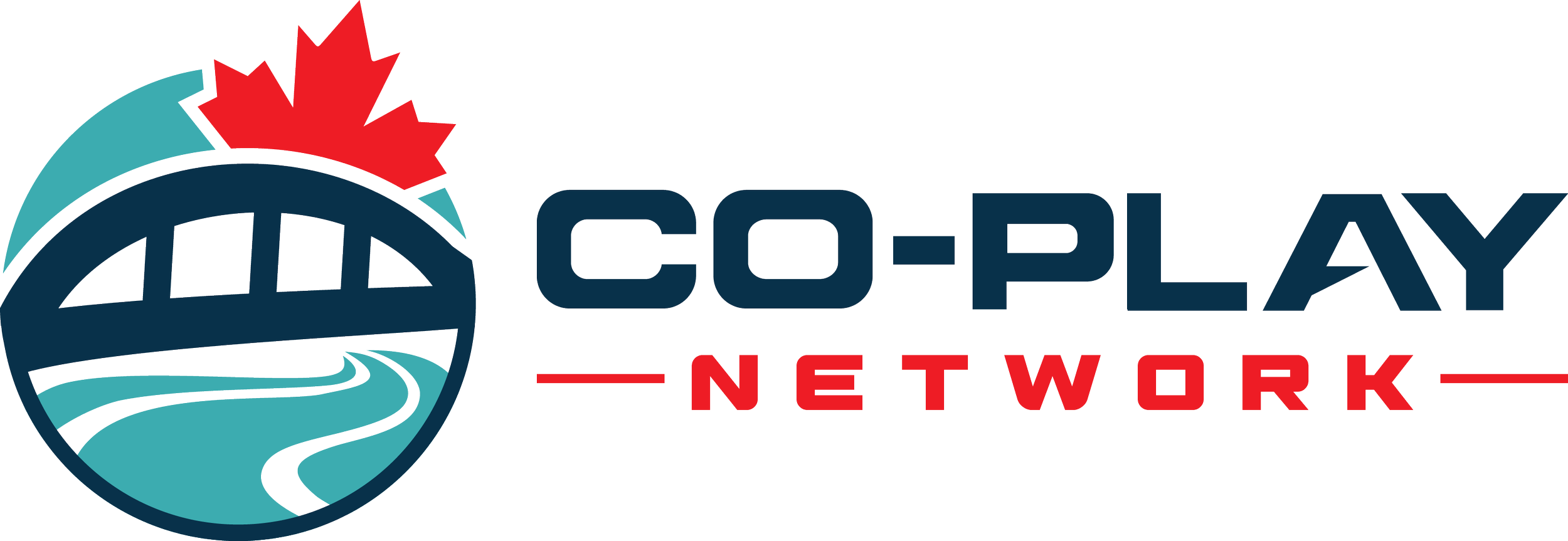 The CO-PLAY Network