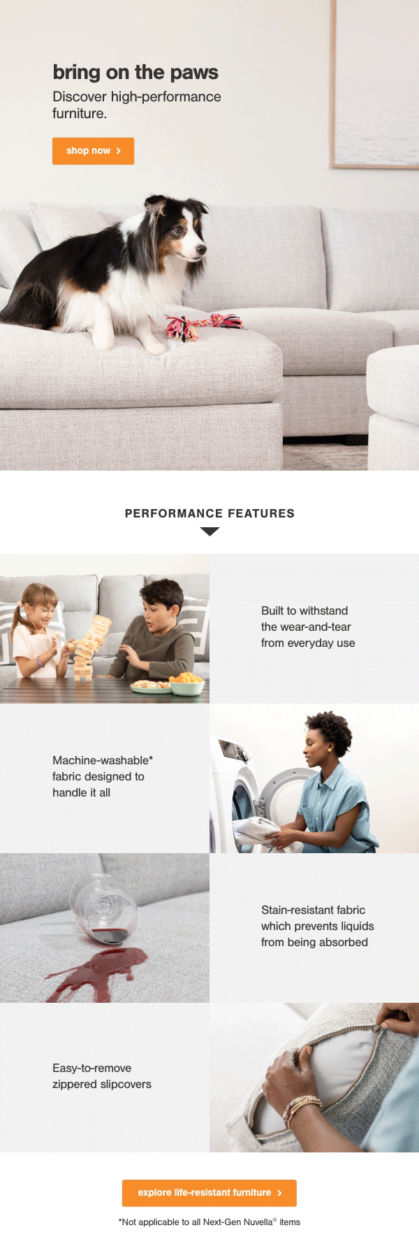 24_AHS_PerformanceFabric_Email_DogHero.gif