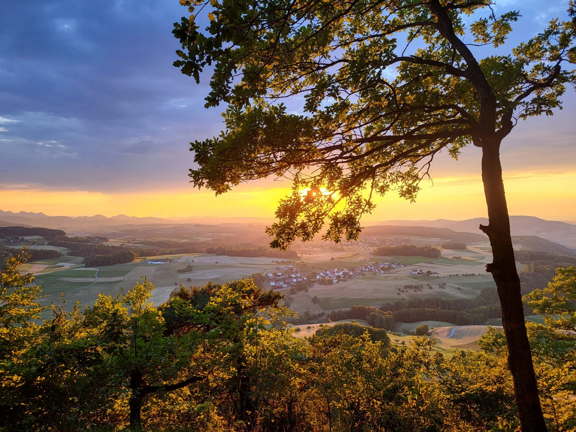 Sonnenuntergang über einer Landschaft mit Feldern, Wäldern und einem kleinen Dorf, wobei ein Baum im Vordergrund steht.