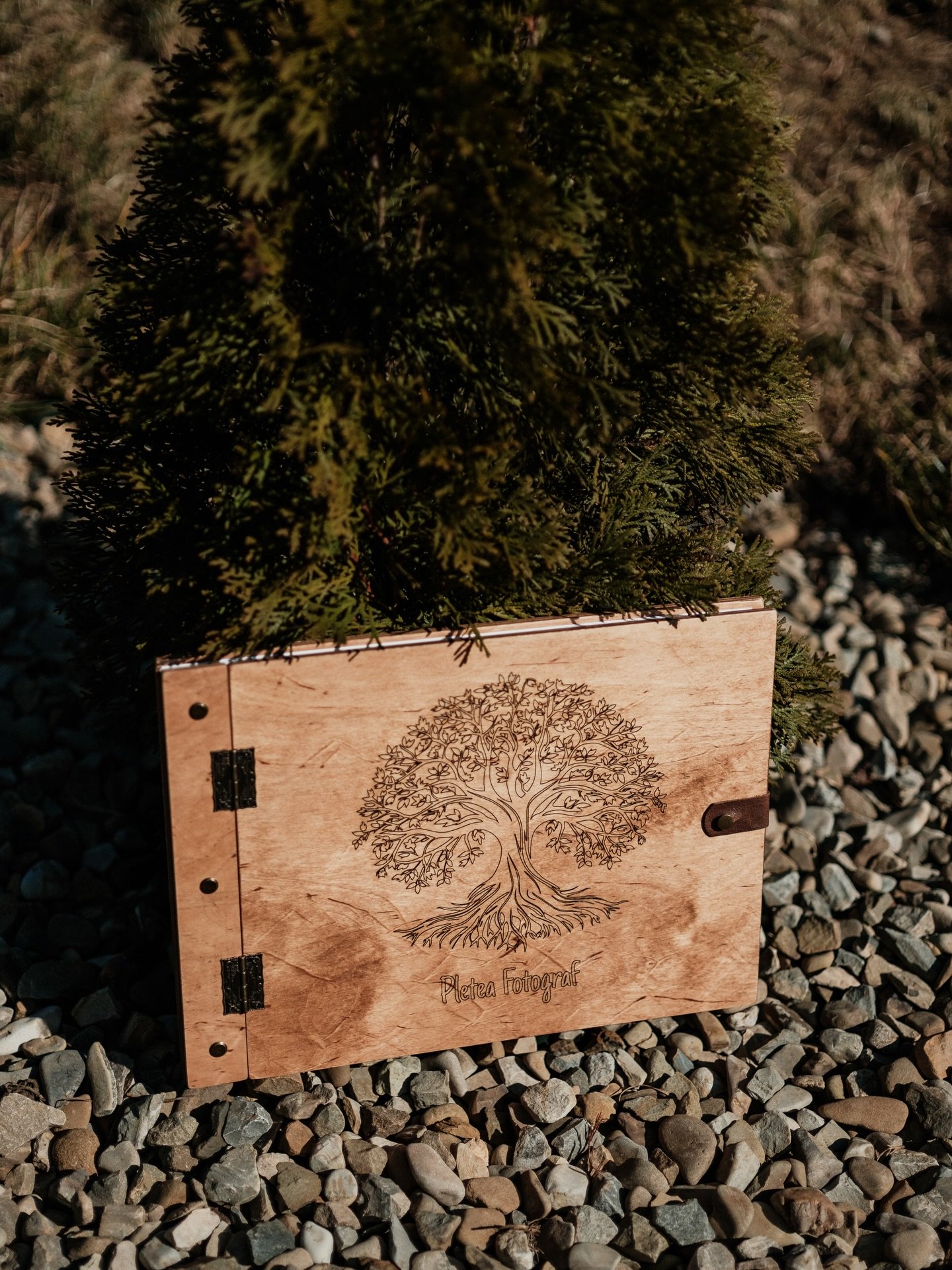 Fotografiez emoții, &icirc;nsă mi-am dorit să le ofer și un loc al lor. Așa a apărut dorința de a duce povestea voastră p&acirc;nă la capăt.
La Atelier Pletea transformăm aceste clipe &icirc;n amintiri care pot fi atinse, răsfoite și trăite din nou.
