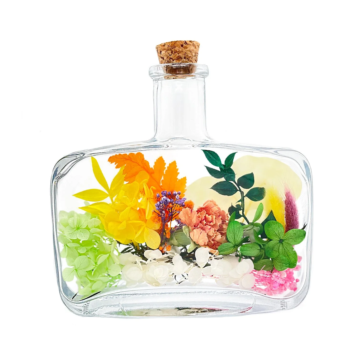 Nueva-Primavera-rectangular-1.jpg