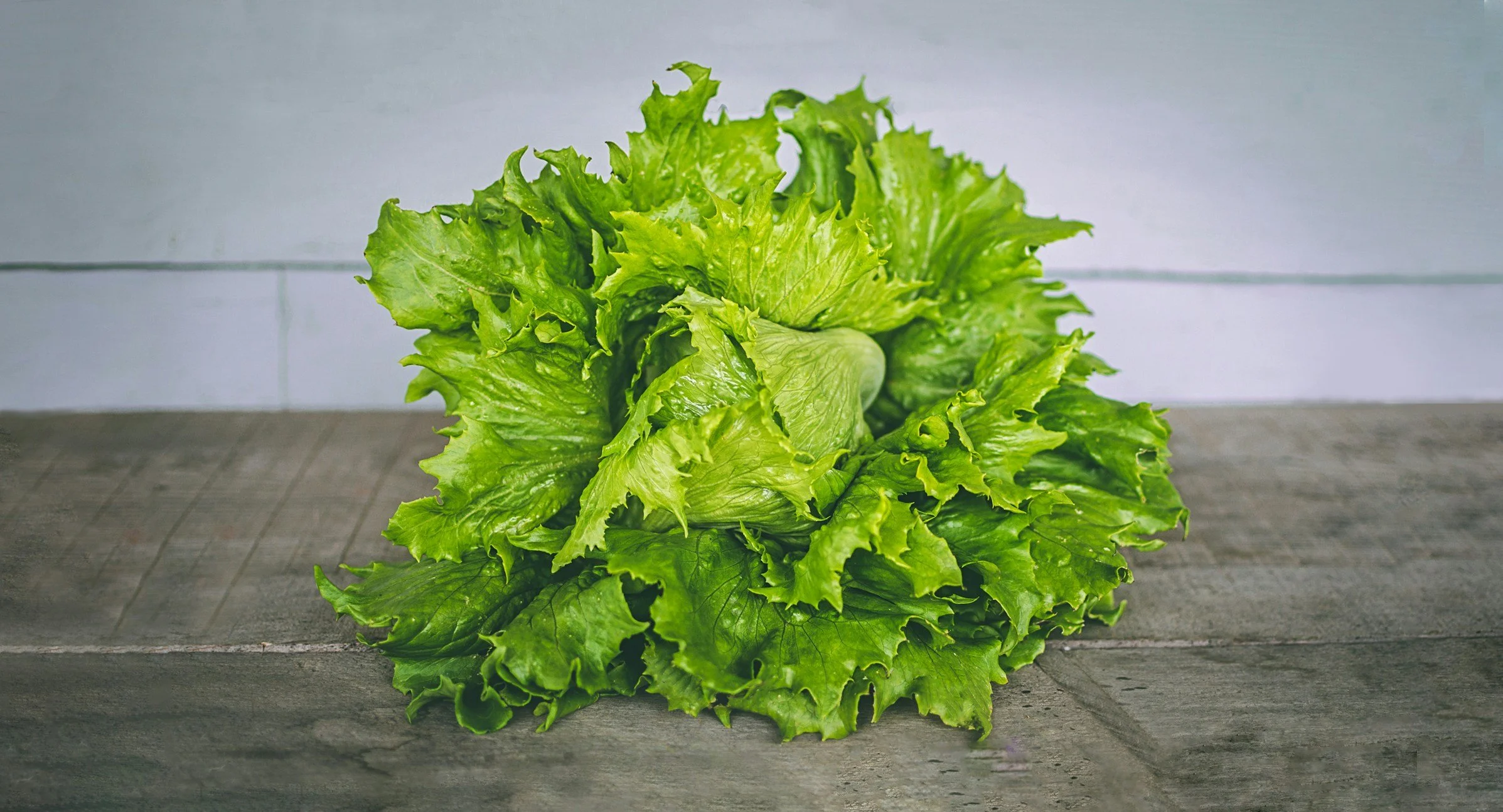 Bring Wilted Lettuce Back to Life (Cold vs. Warm Water Tricks)