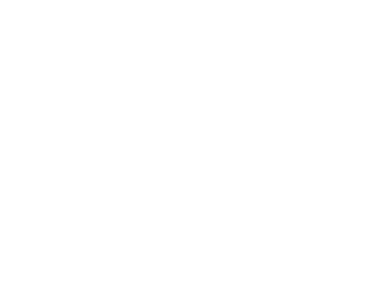 INTO VEDA