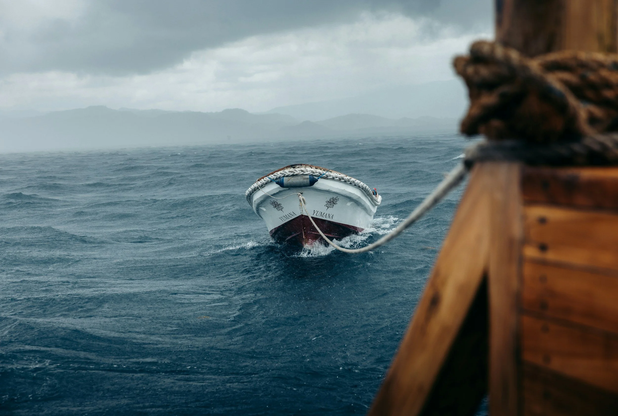 unsplash-image-MNCjVho1aek.jpg