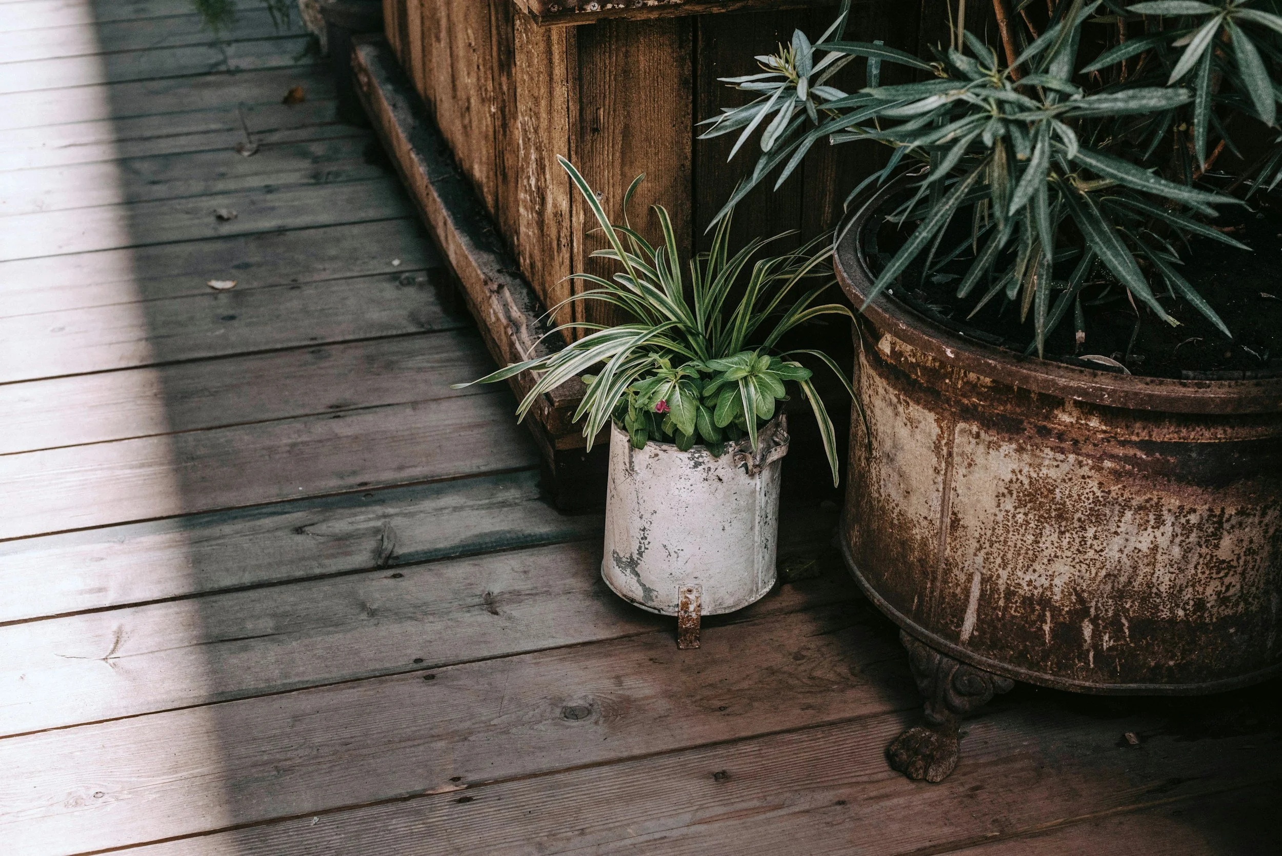 unsplash-image-ZM8XletBsMs.jpg