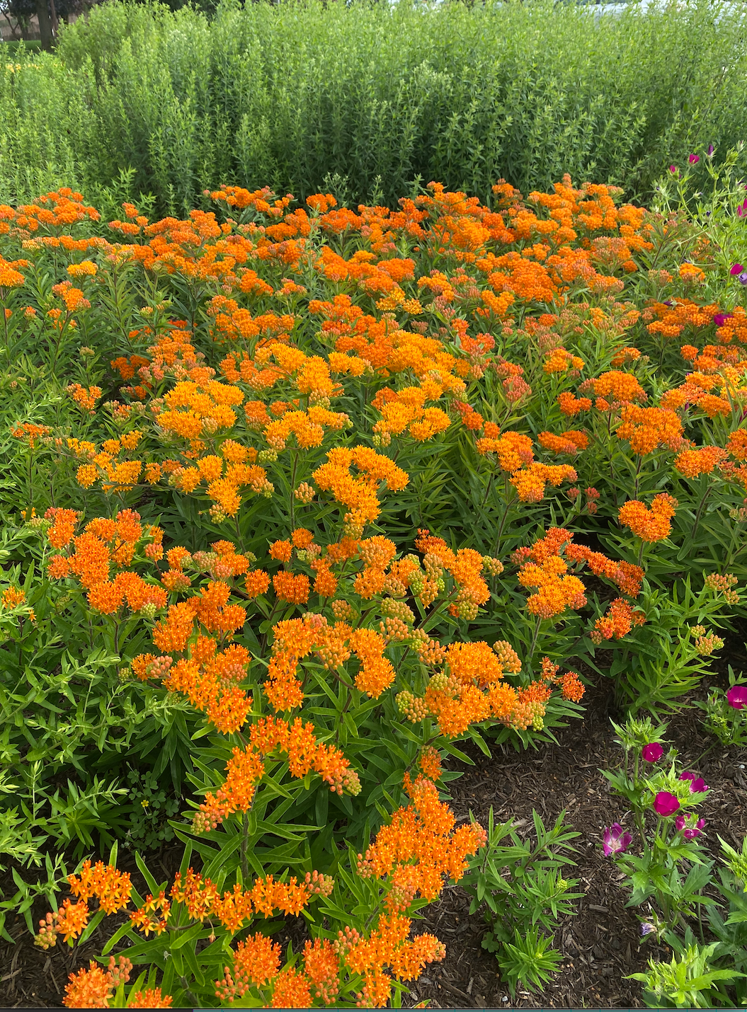 Screen Shot 2021-10-16 at 10.08.19 PM.png