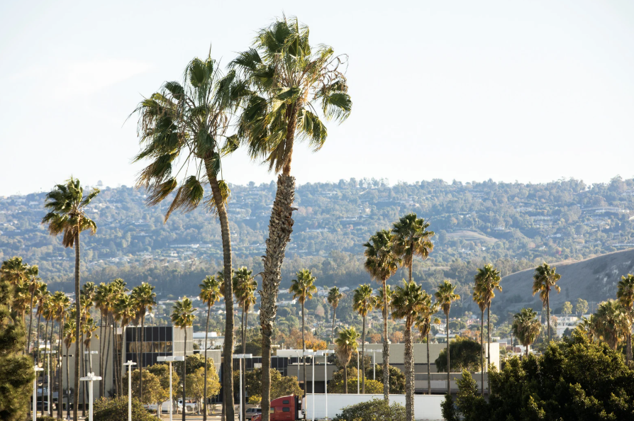 adu contractor in torrance california