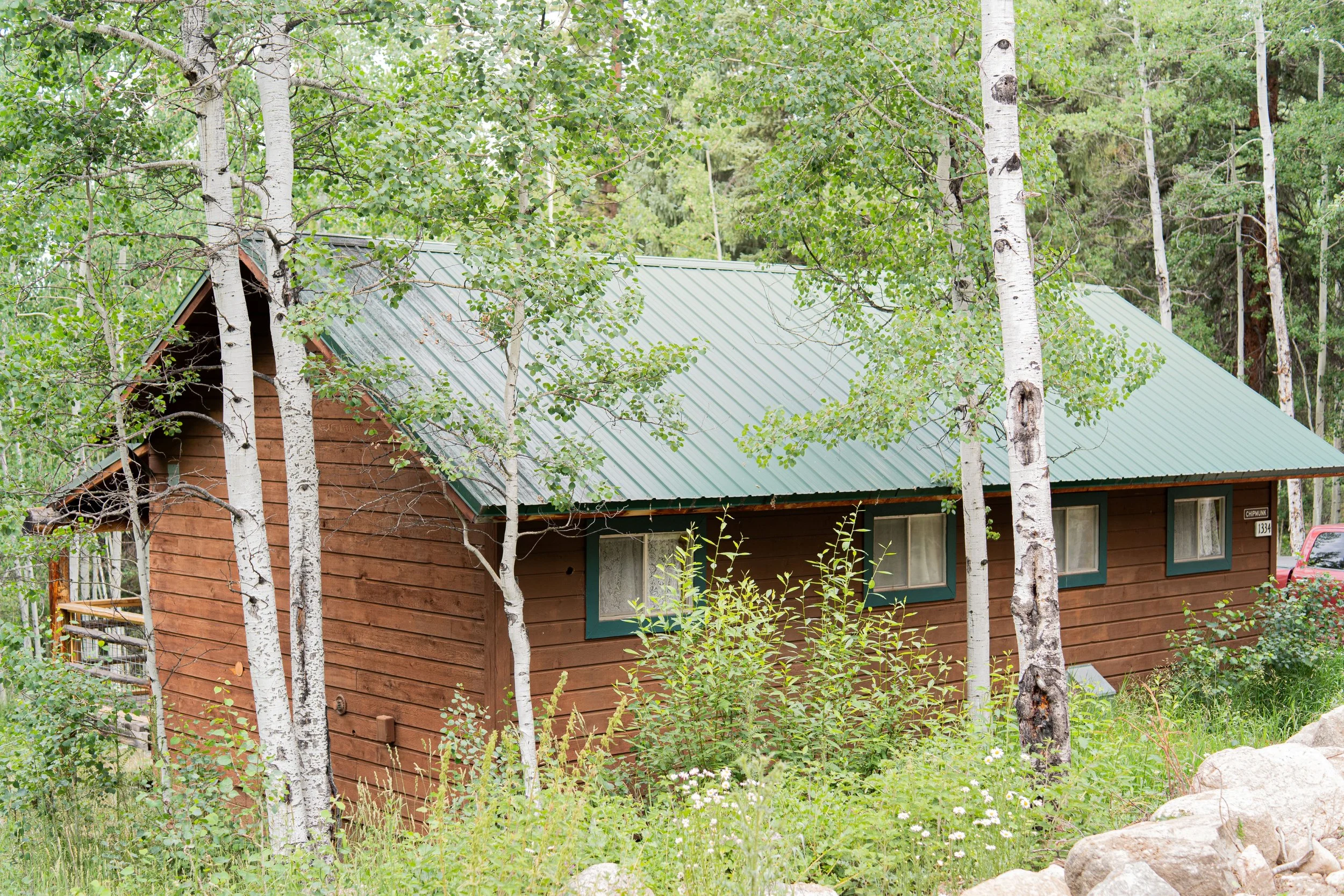 A rustic wooden cabin with a green metal roof surrounded by trees and greenery.