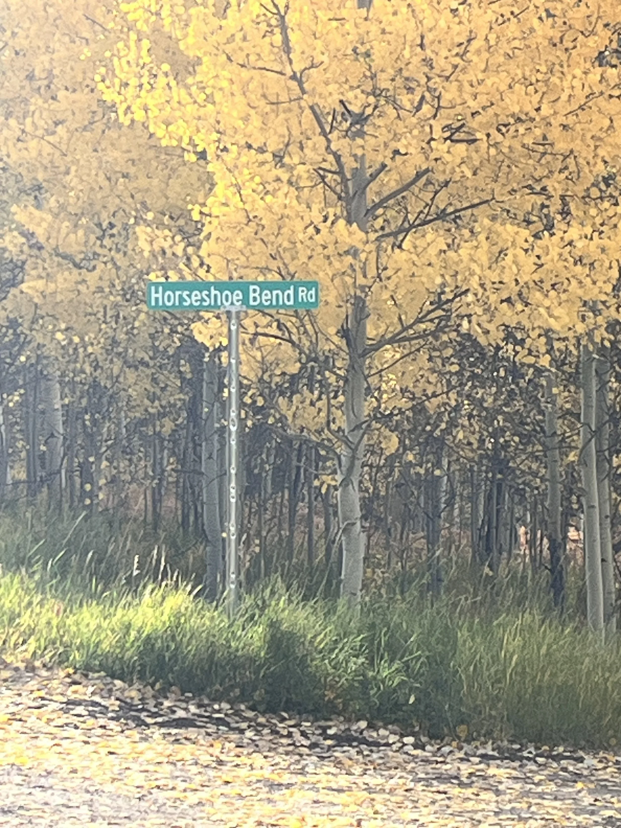 Street sign at Horseshoe Bend Road surrounded by yellow autumn trees and green grass