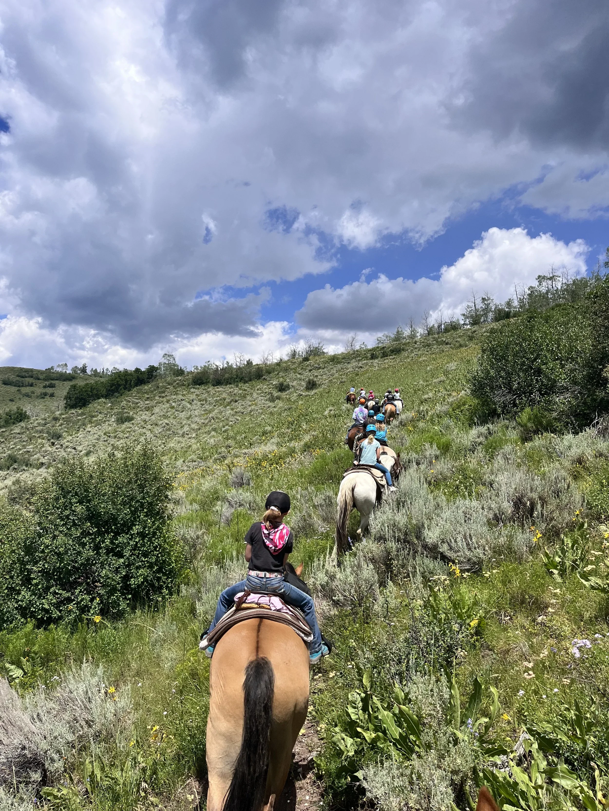 A group of people riding horses on a trail through a green, hilly landscape under a partly cloudy sky.