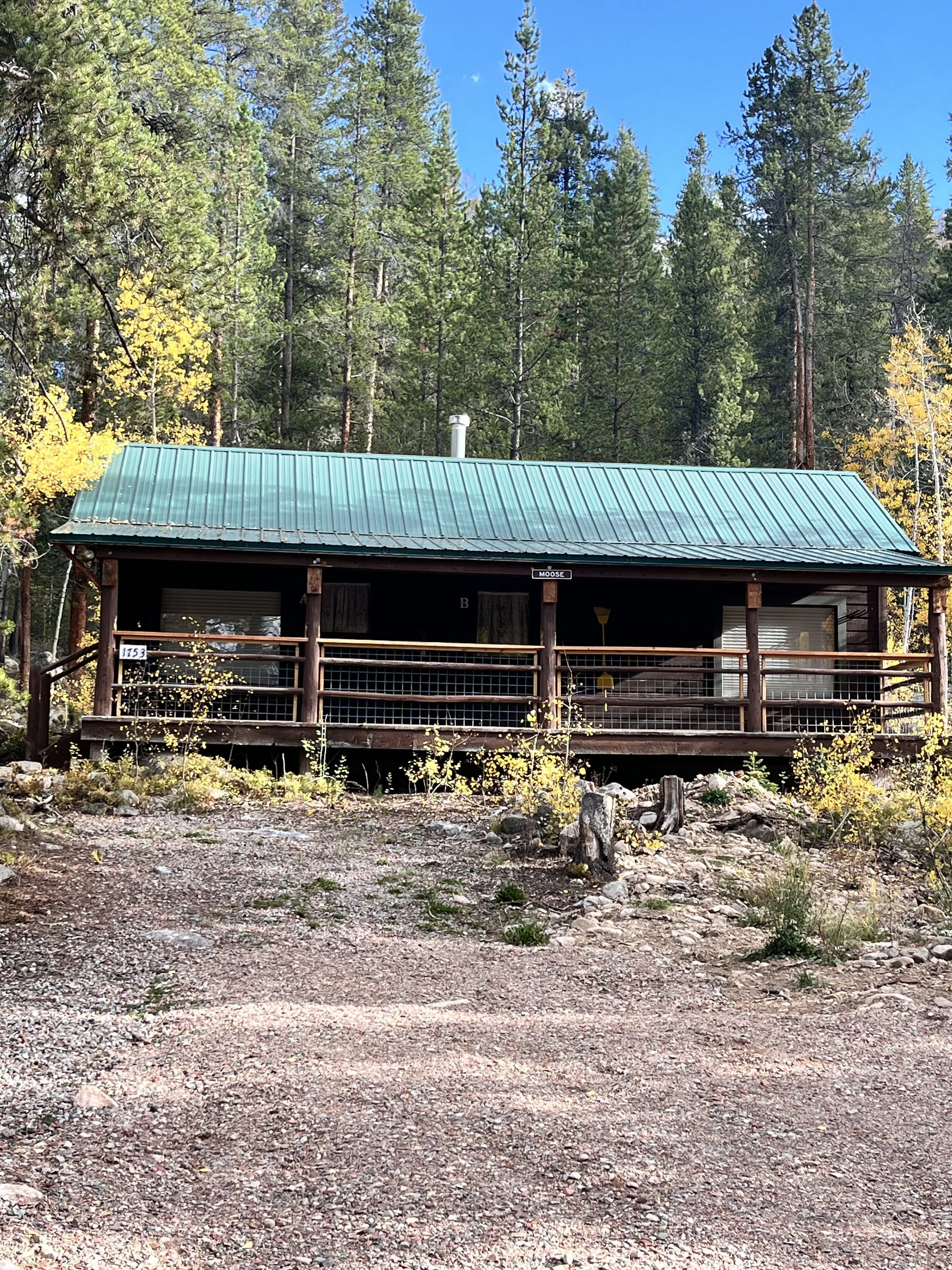 A wooden cabin with a green metal roof, surrounded by tall pine trees and yellow foliage, located in a forested area with a rocky dirt ground.