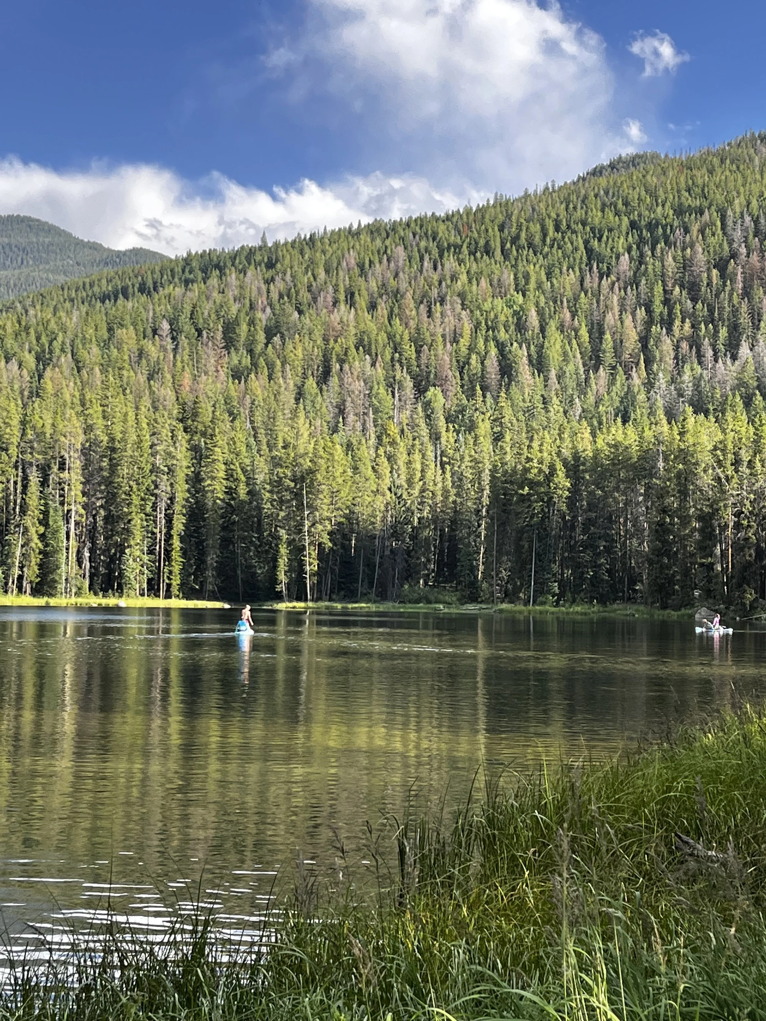 A peaceful lake surrounded by a dense forest of tall green pine trees, with two people paddleboarding on the water under a partly cloudy sky.