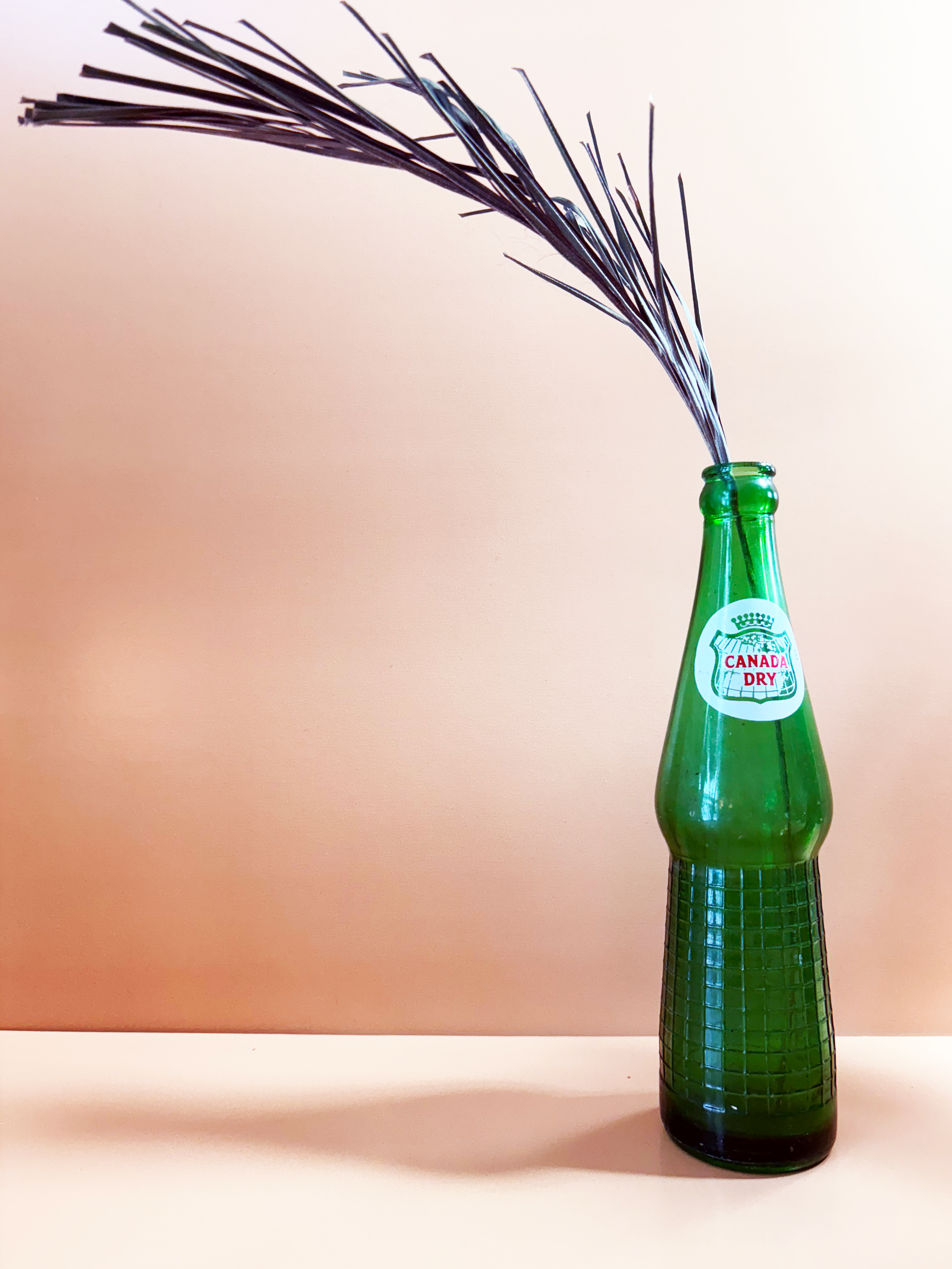 Vintage Canada Dry Bottle